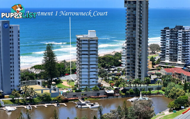 1 204 Ferny Avenue, Surfers Paradise QLD 4217