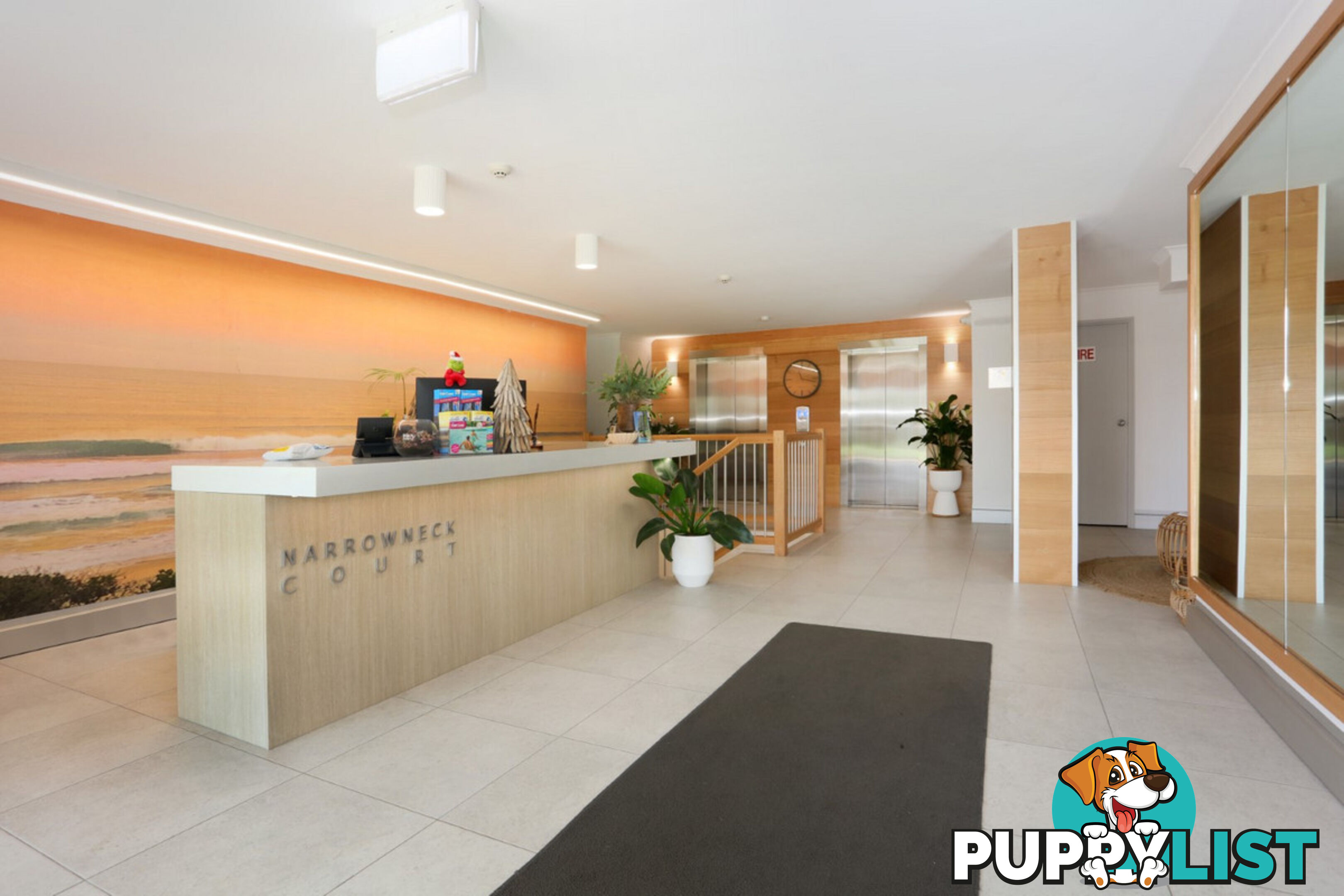 1 204 Ferny Avenue, Surfers Paradise QLD 4217