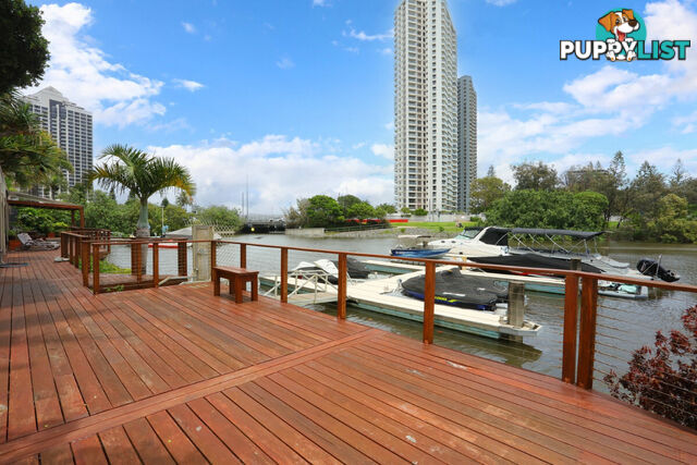 1 204 Ferny Avenue, Surfers Paradise QLD 4217