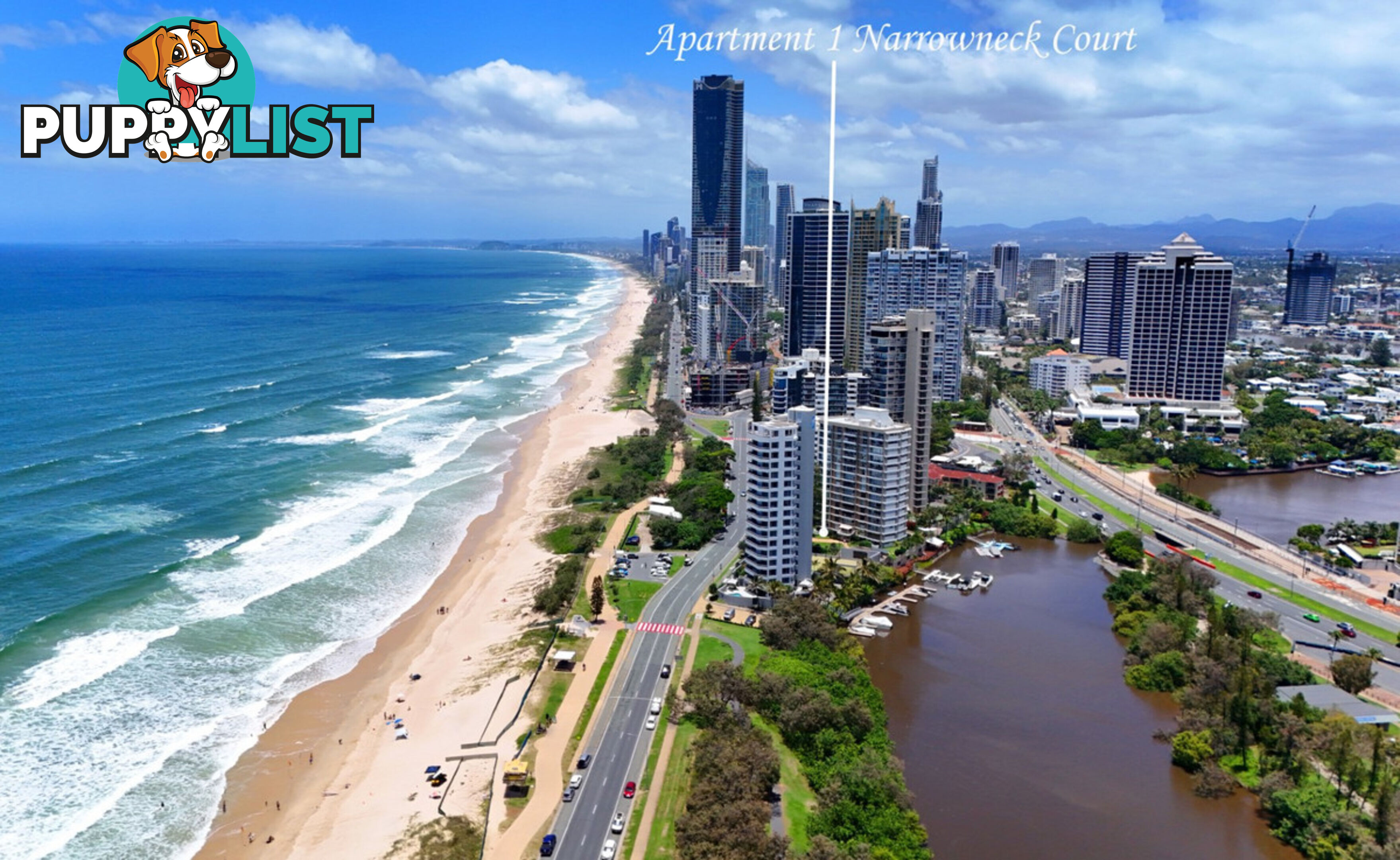 1 204 Ferny Avenue, Surfers Paradise QLD 4217