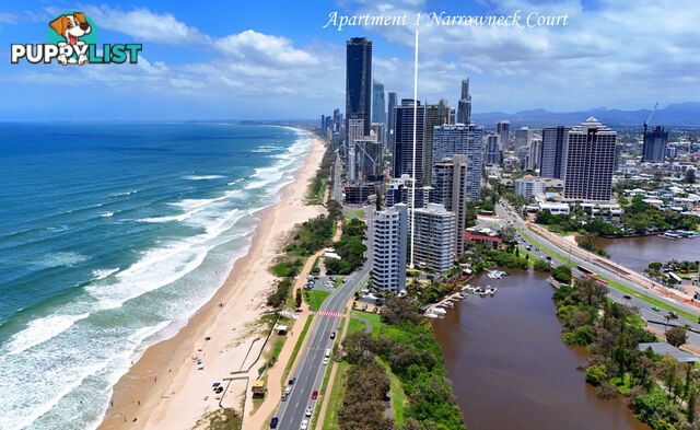 1 204 Ferny Avenue, Surfers Paradise QLD 4217