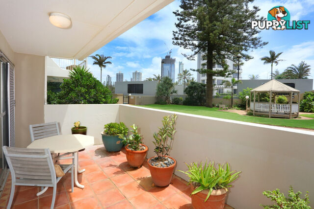 1 204 Ferny Avenue, Surfers Paradise QLD 4217