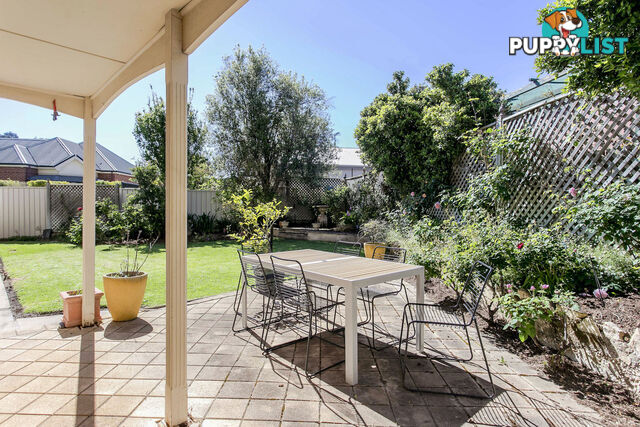 6 Victoria Terrace Walkerville SA 5081