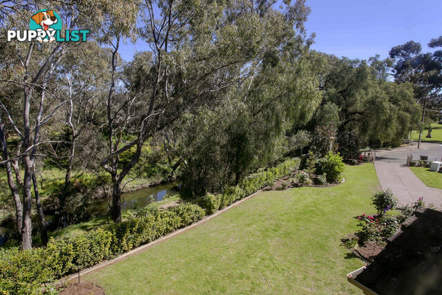 6 Victoria Terrace Walkerville SA 5081