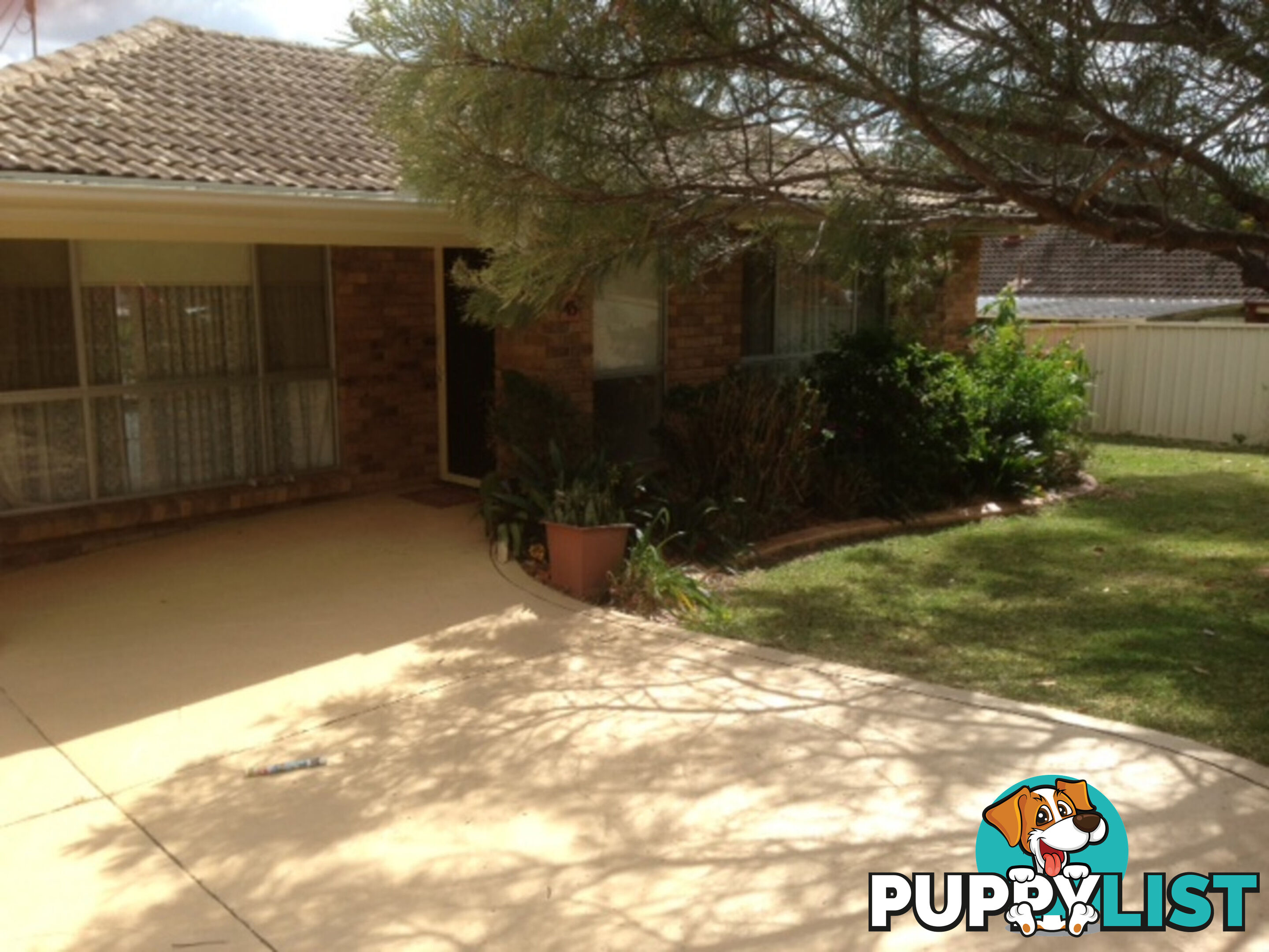 45 Brushbox Avenue Street Medowie NSW 2318