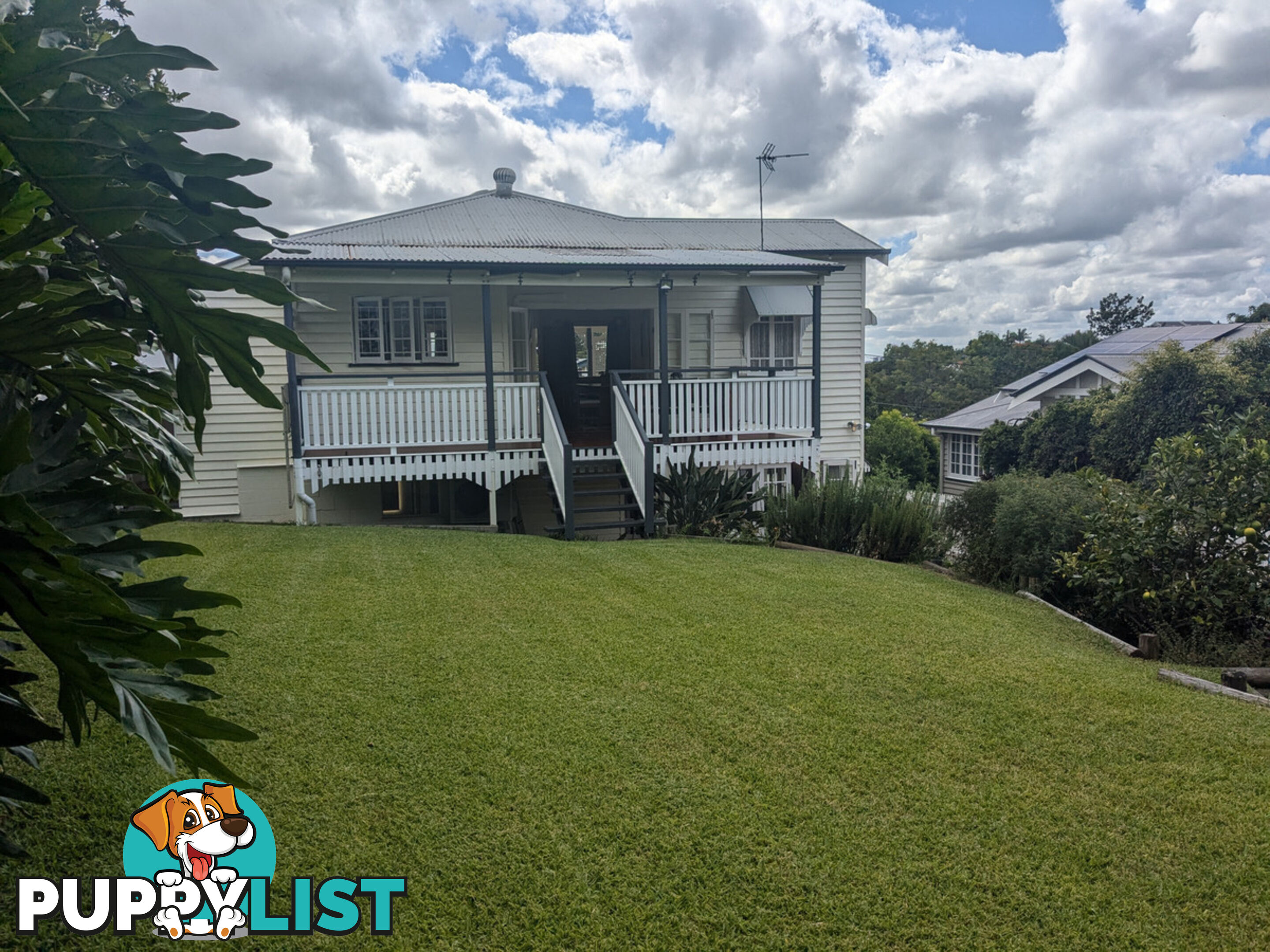 50 Robe Street Grange QLD 4051