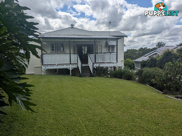 50 Robe Street Grange QLD 4051