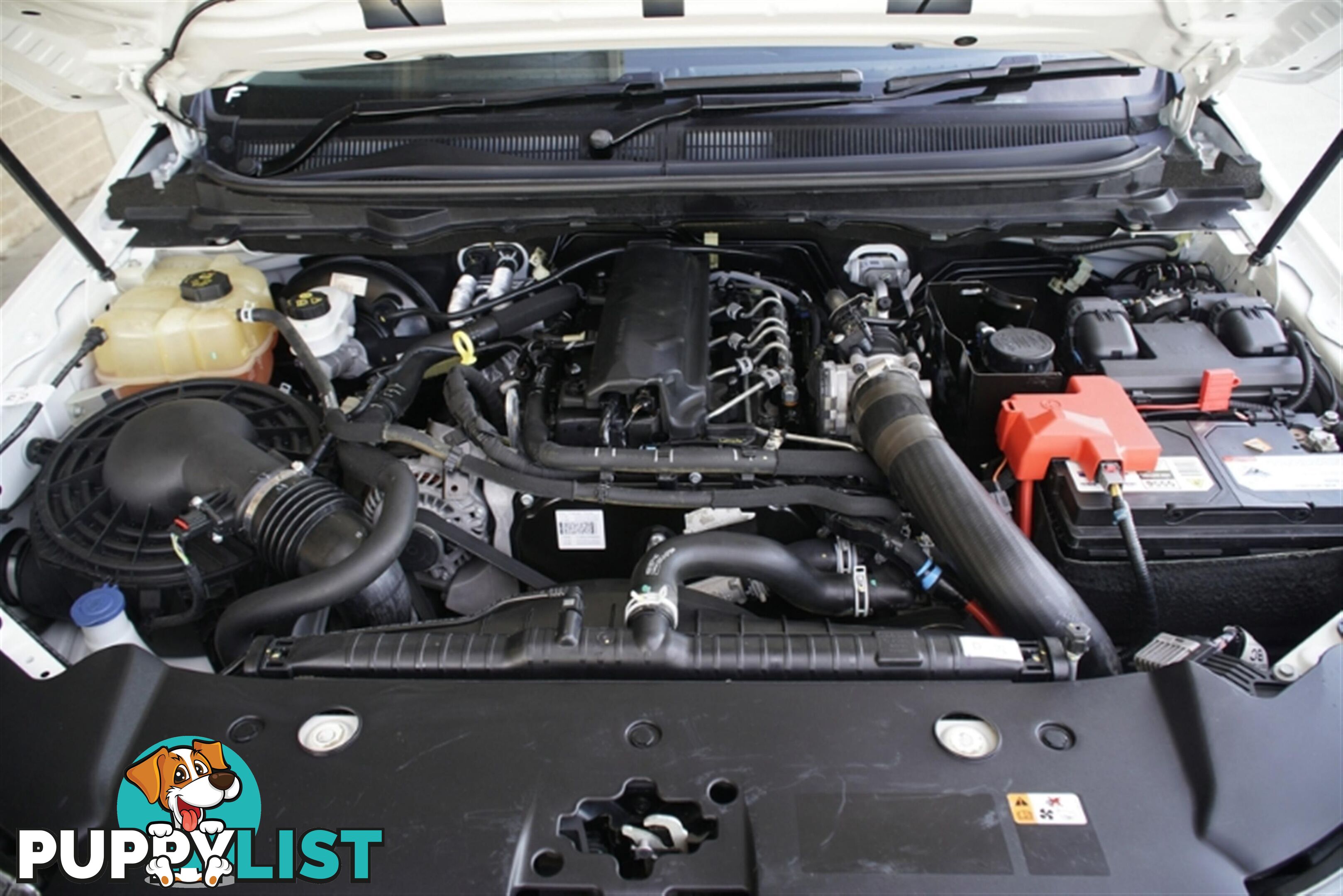 2019 FORD RANGER XL SINGLE CAB PX MKIII MY19 CAB CHASSIS