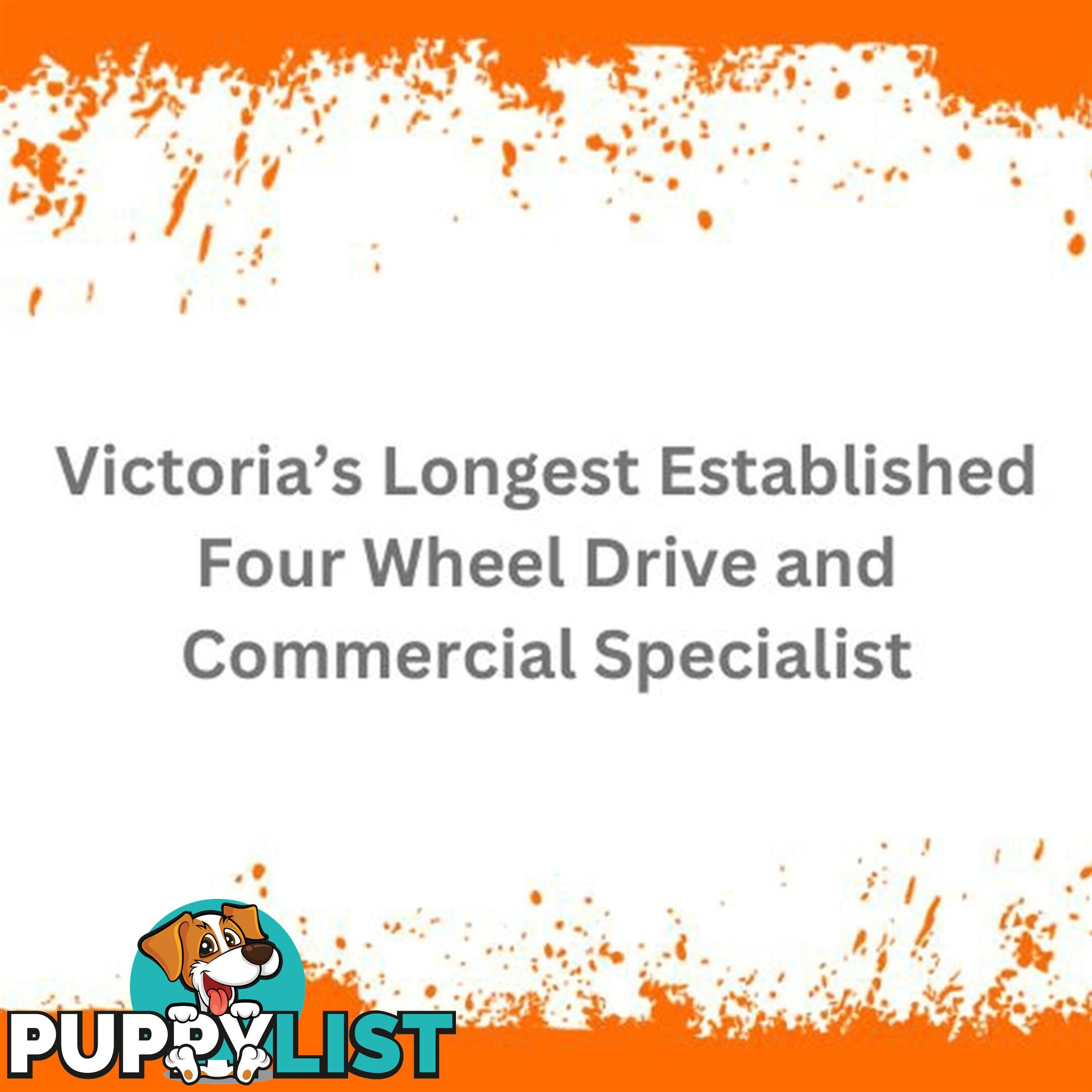 2010 HOLDEN COMMODORE International VE MY10 SEDAN
