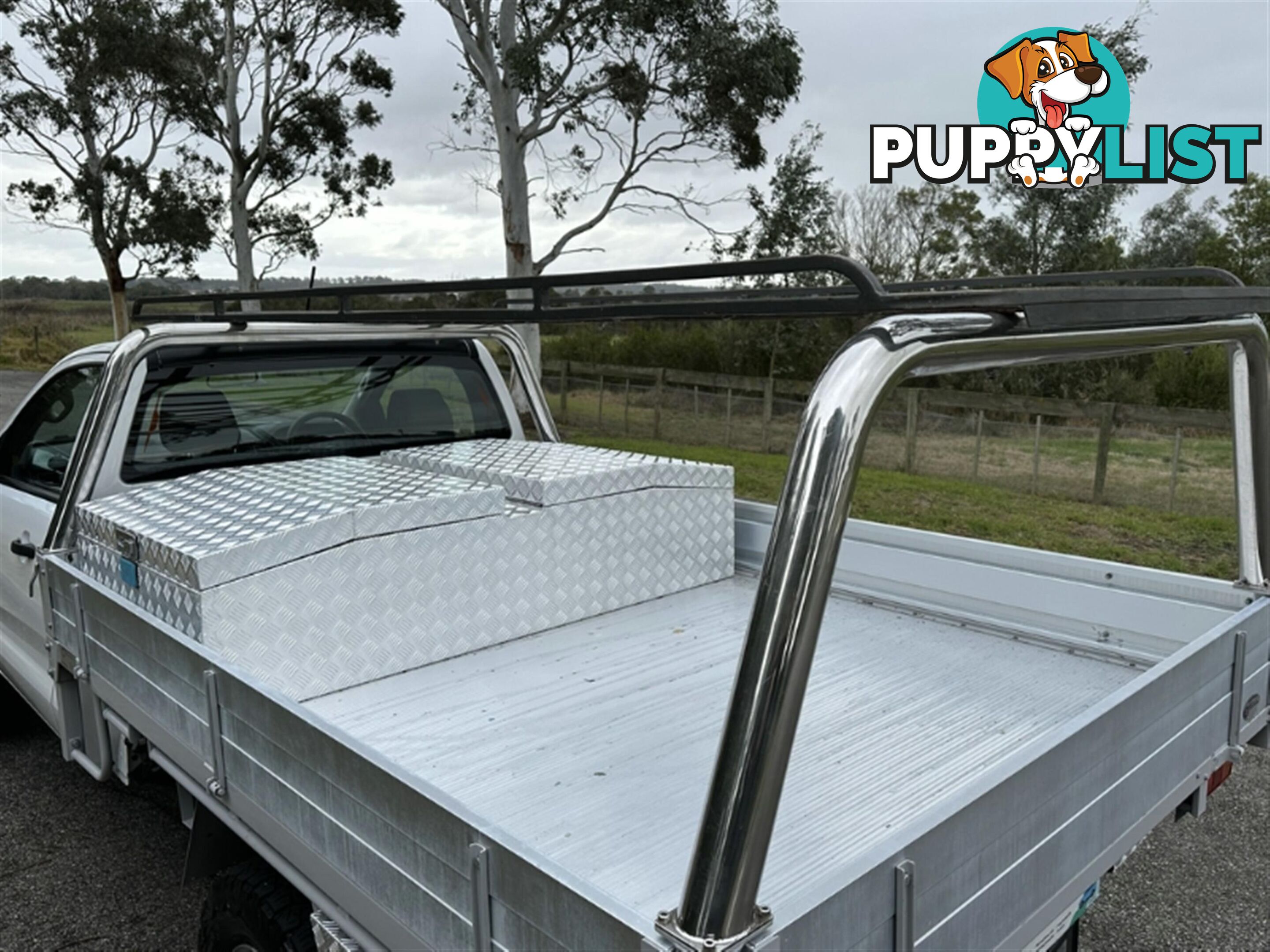 2019 FORD RANGER XL HI-RIDER SINGLE C PX MKIII MY20.25 CAB CHASSIS