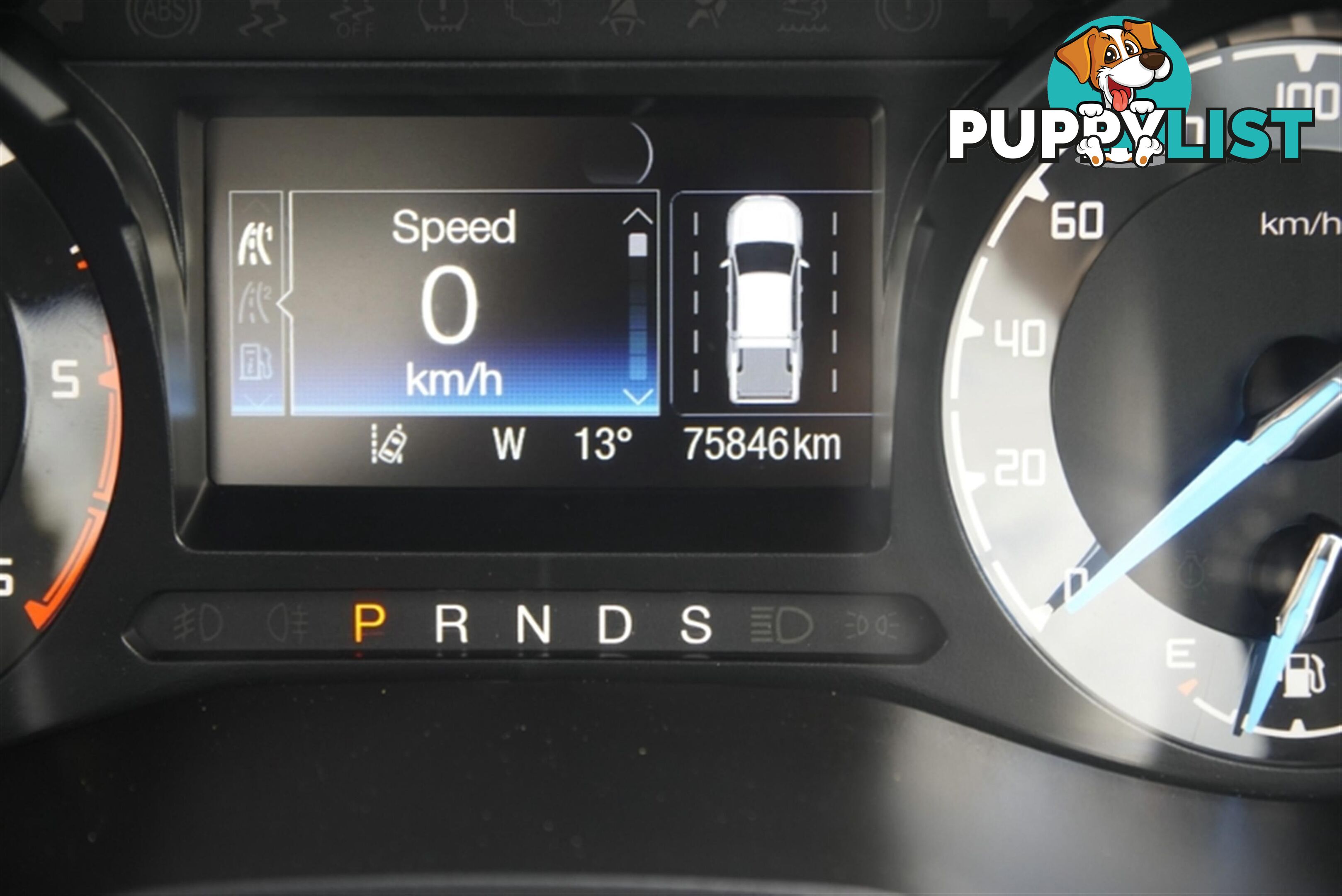 2021 FORD RANGER XL HI-RIDER SINGLE C PX MKIII MY21.25 CAB CHASSIS