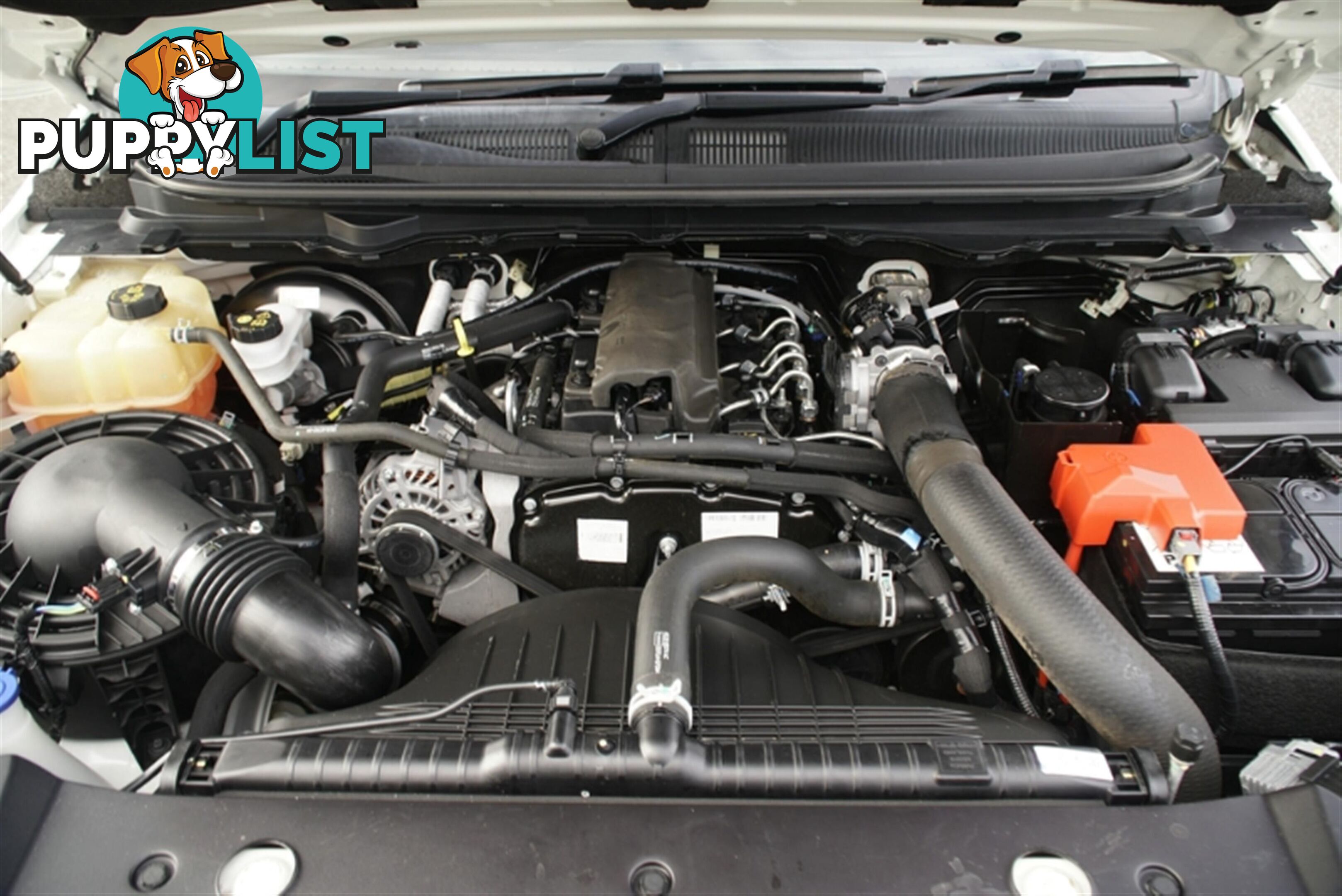 2021 FORD RANGER XL HI-RIDER SINGLE C PX MKIII MY21.25 CAB CHASSIS