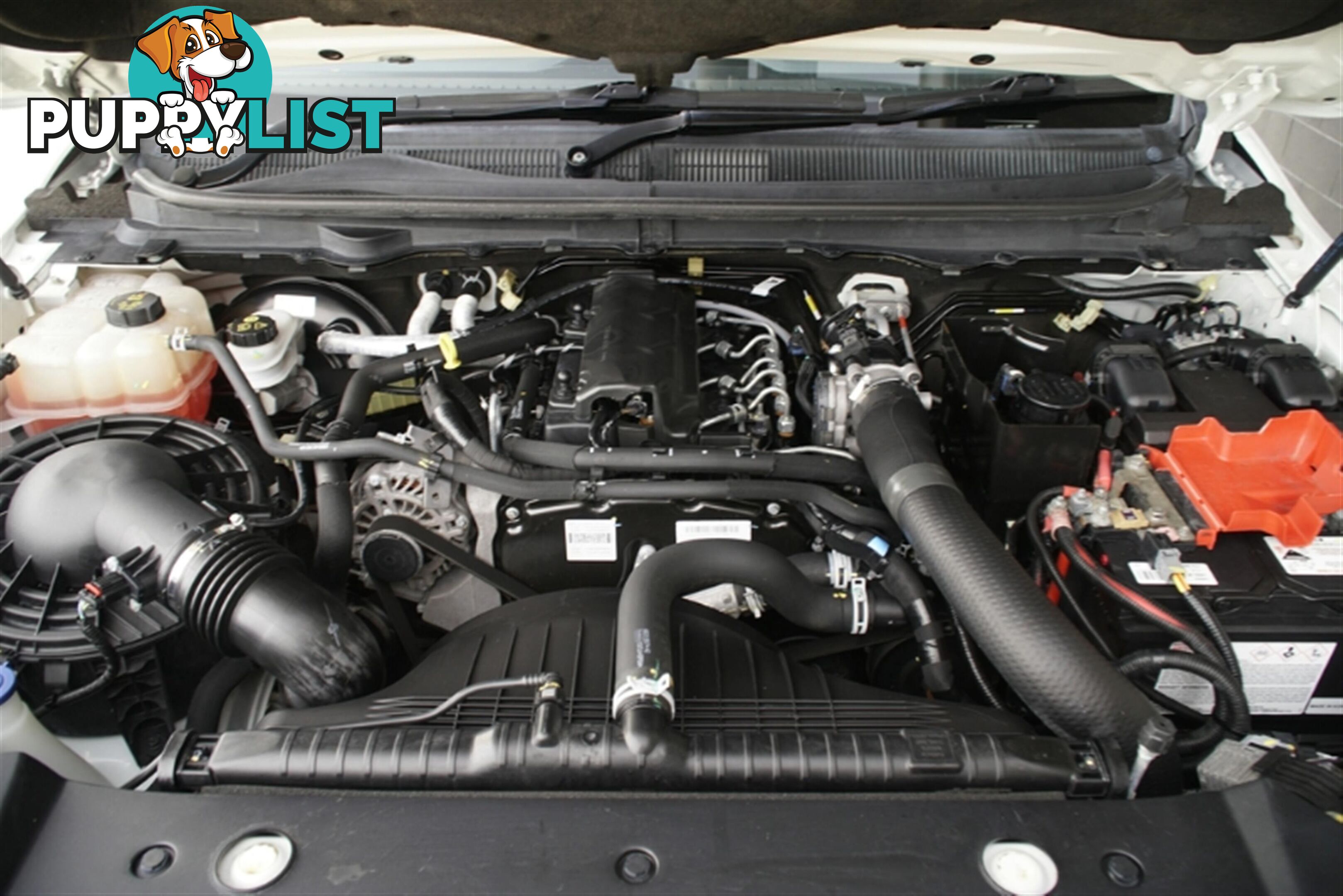 2018 FORD RANGER XL HI-RIDER SINGLE C PX MKII MY18 CAB CHASSIS
