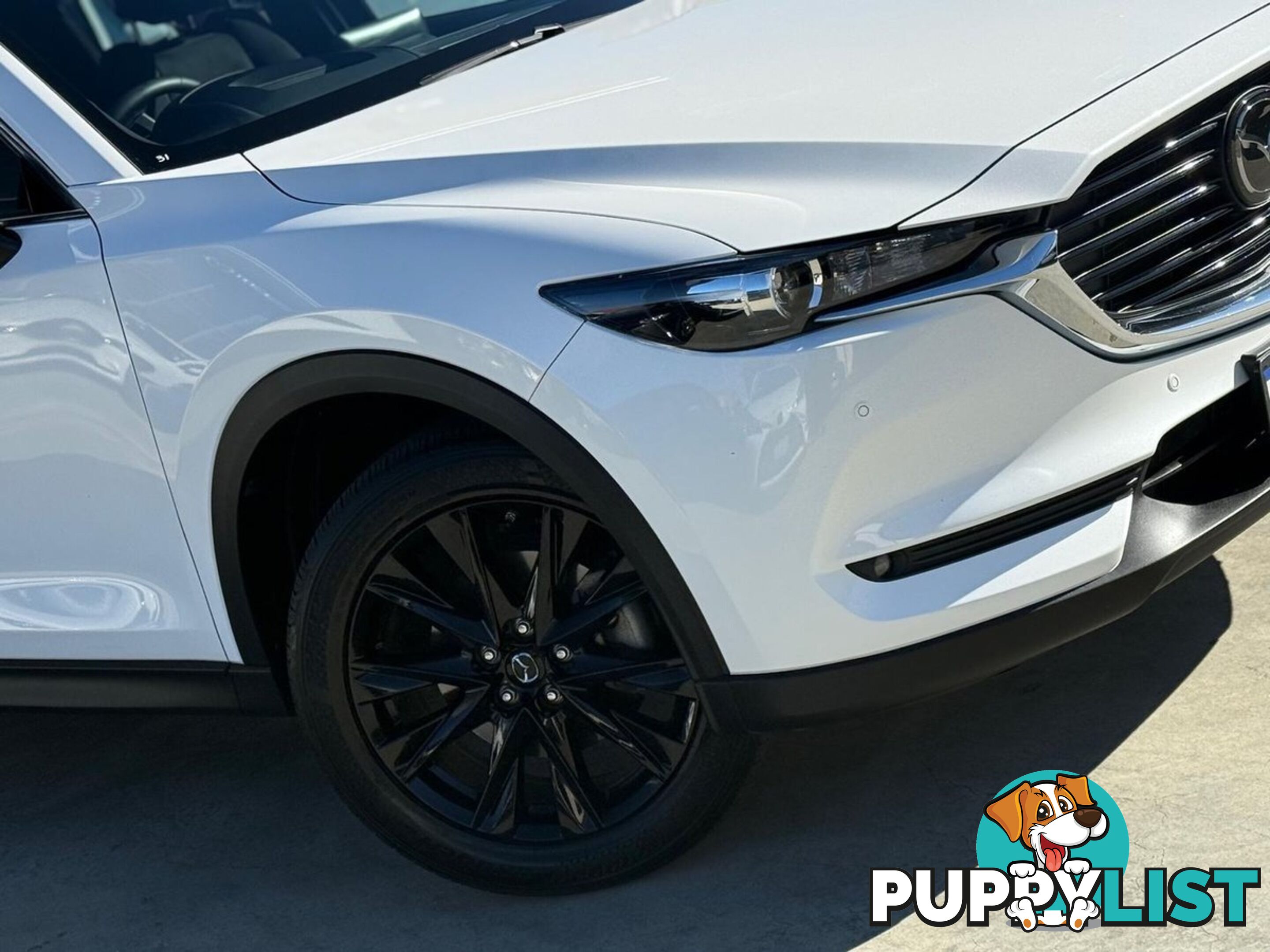 2022 MAZDA CX-8 TOURING-SP KG-SERIES SUV