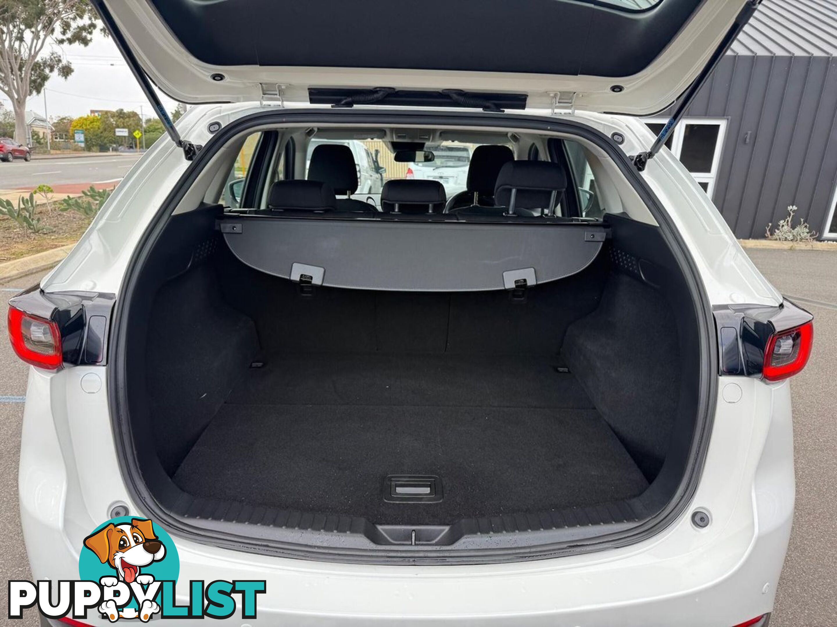 2024 MAZDA CX-5 G20-MAXX KF-SERIES SUV