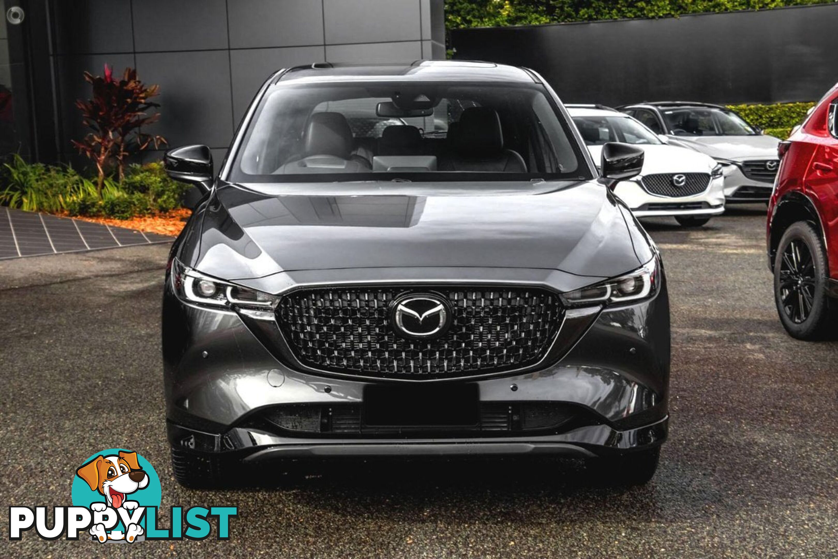 2024 MAZDA CX-5 G35-GT-SP KF-SERIES-AWD SUV