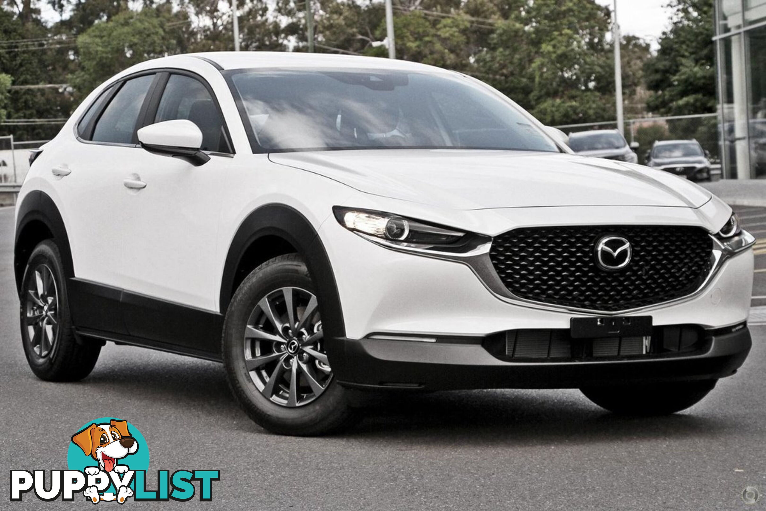 2025 MAZDA CX-30 G20-PURE DM-SERIES SUV