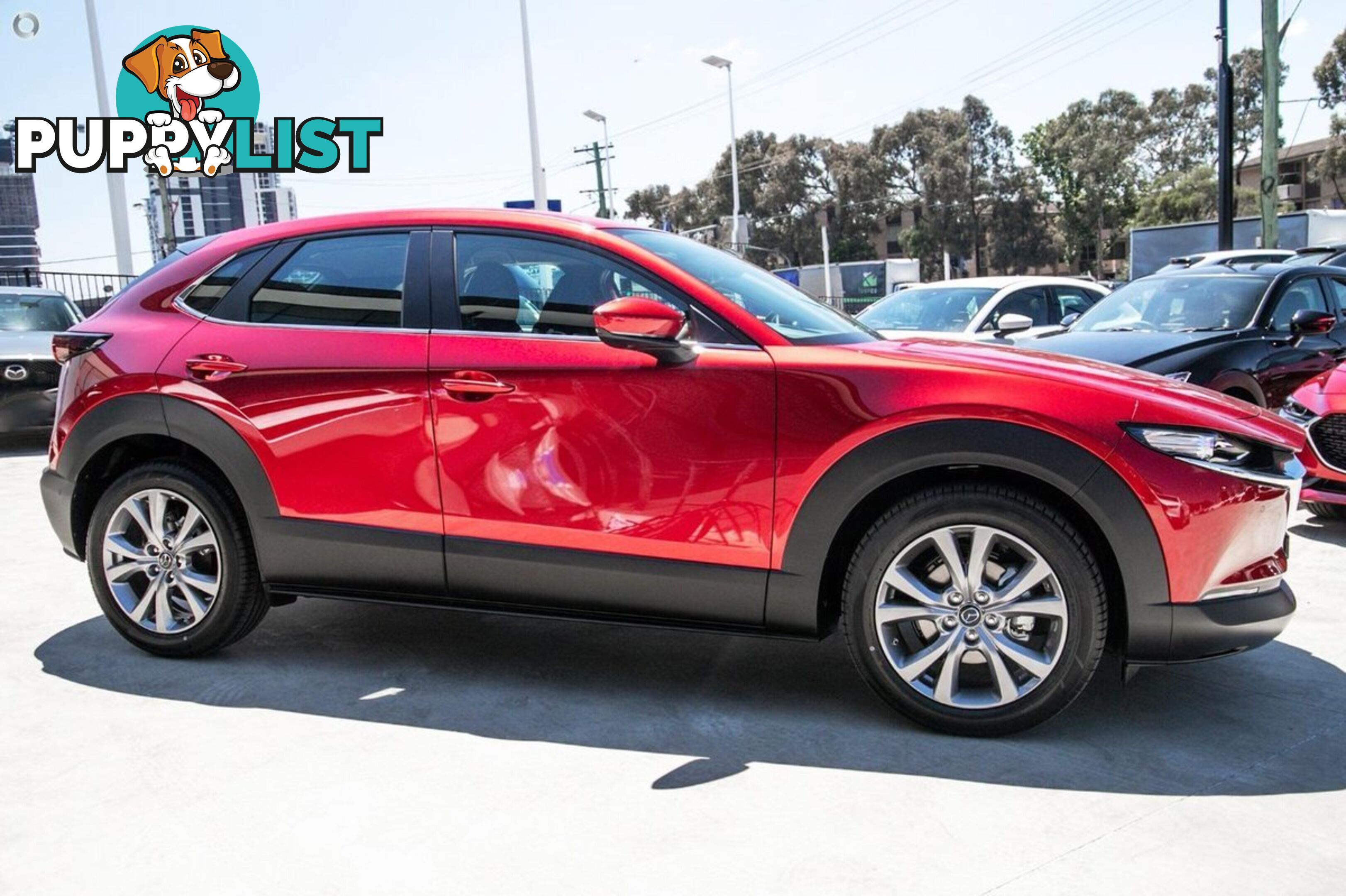 2024 MAZDA CX-30 G20-EVOLVE DM-SERIES SUV