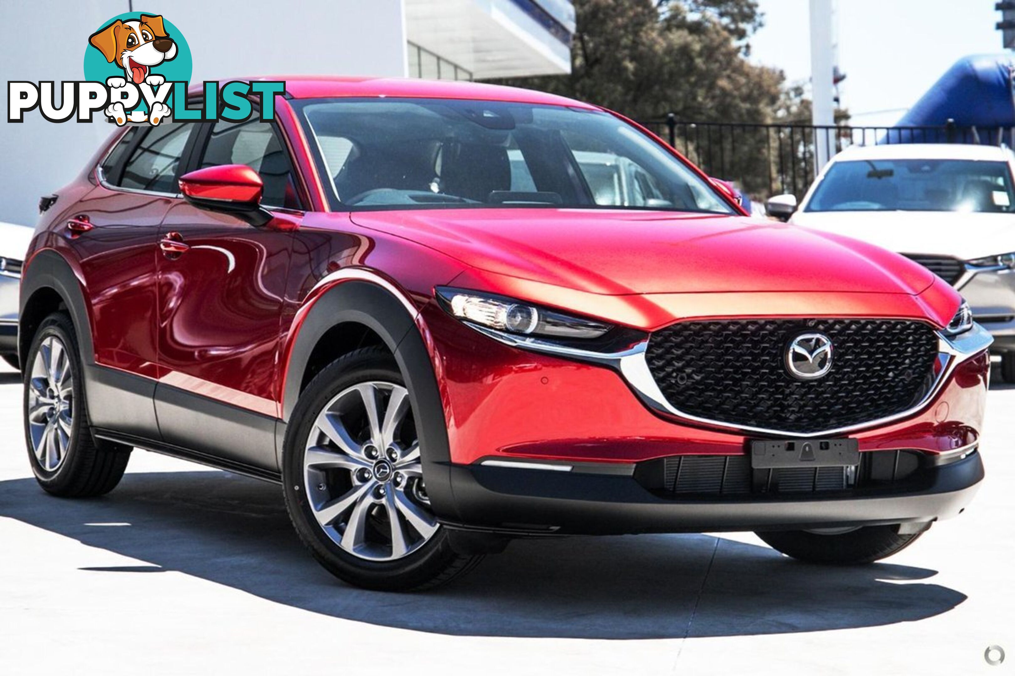 2024 MAZDA CX-30 G20-EVOLVE DM-SERIES SUV