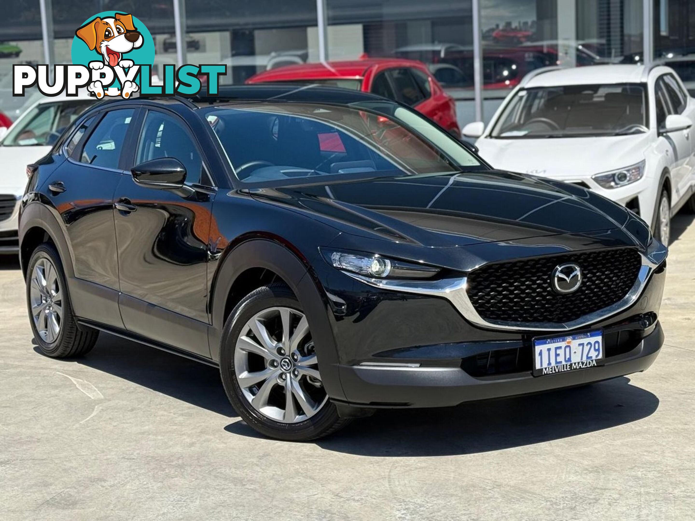 2024 MAZDA CX-30 G20-EVOLVE DM-SERIES SUV