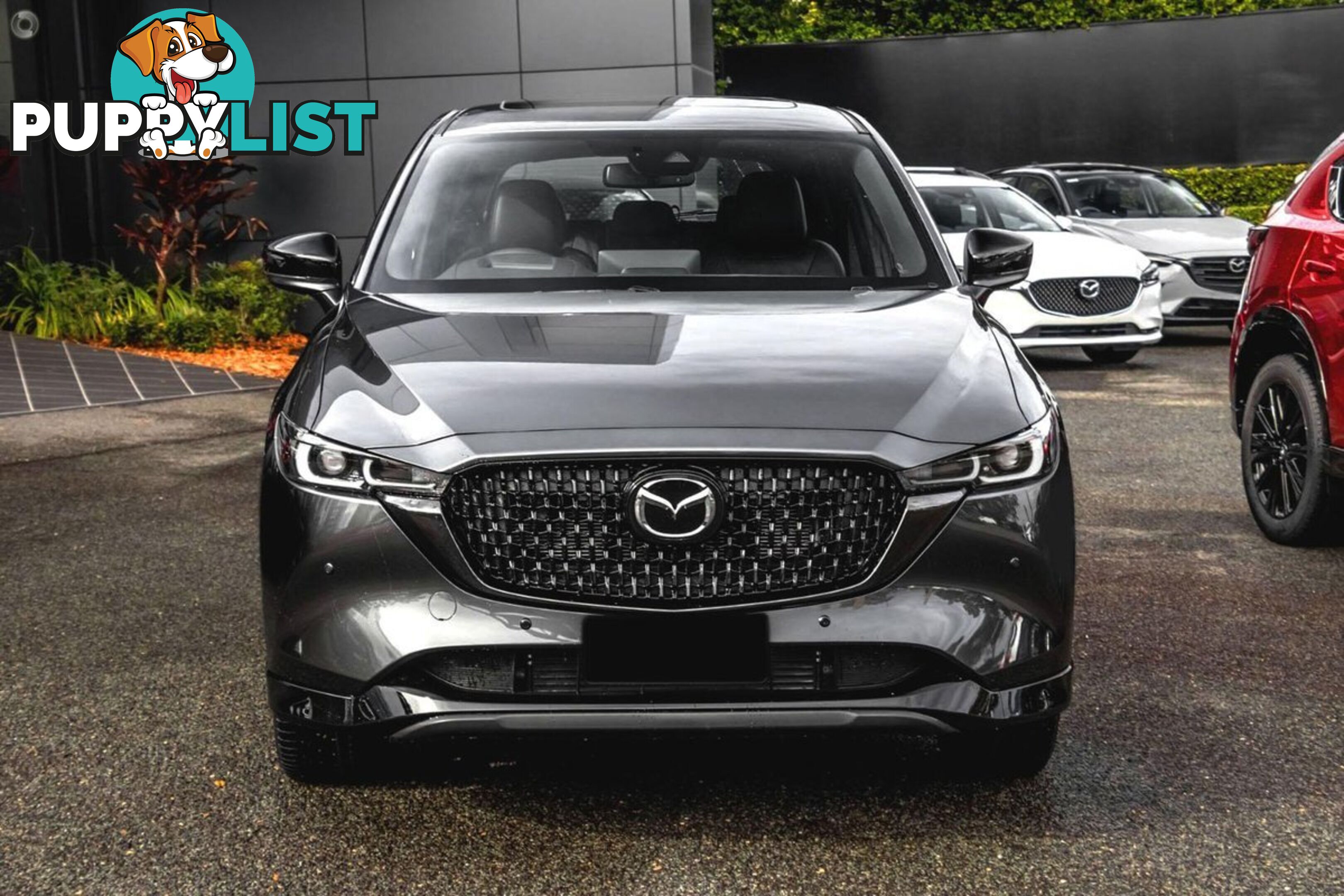 2024 MAZDA CX-5 G35-GT-SP KF-SERIES-AWD SUV
