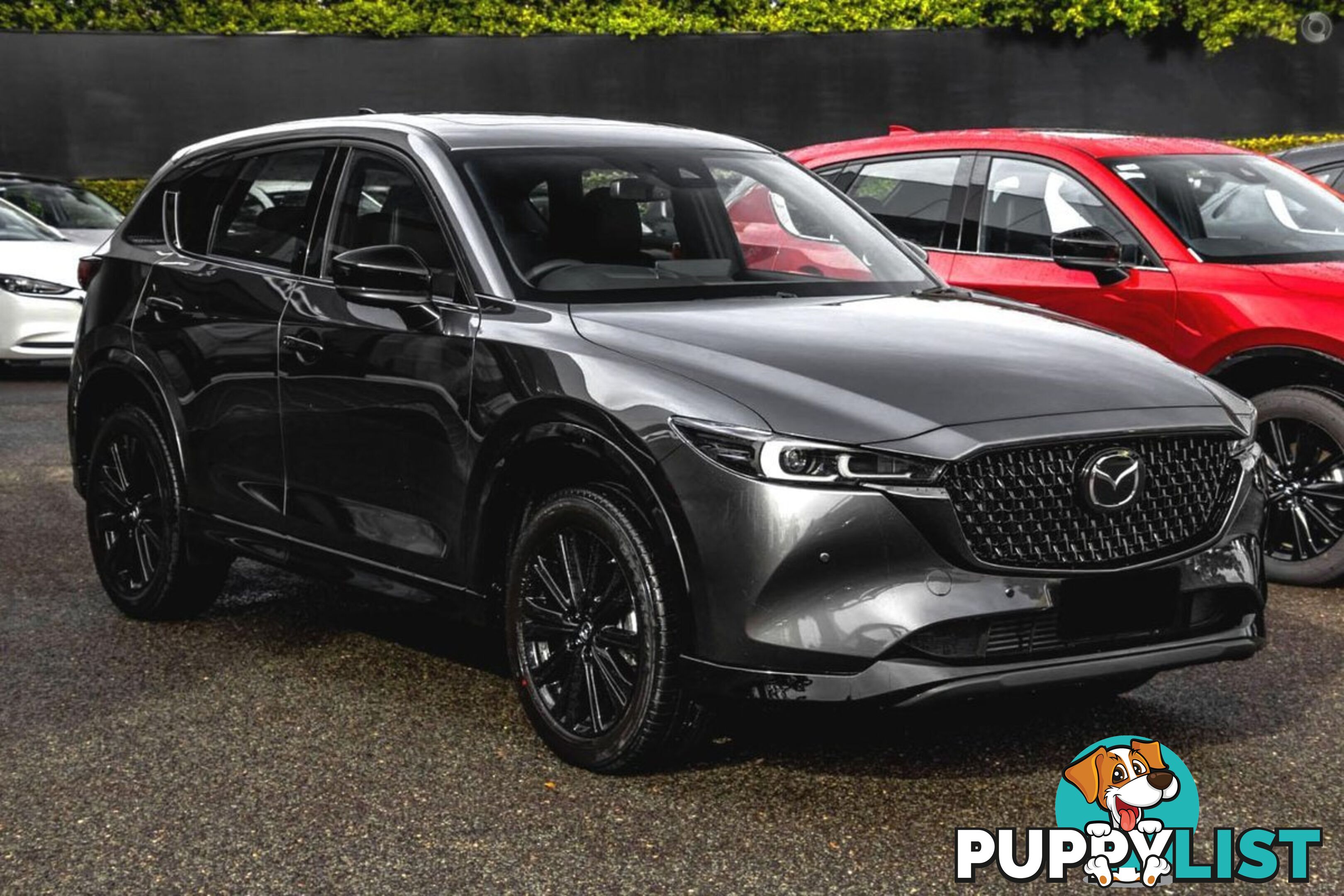 2024 MAZDA CX-5 G35-GT-SP KF-SERIES-AWD SUV
