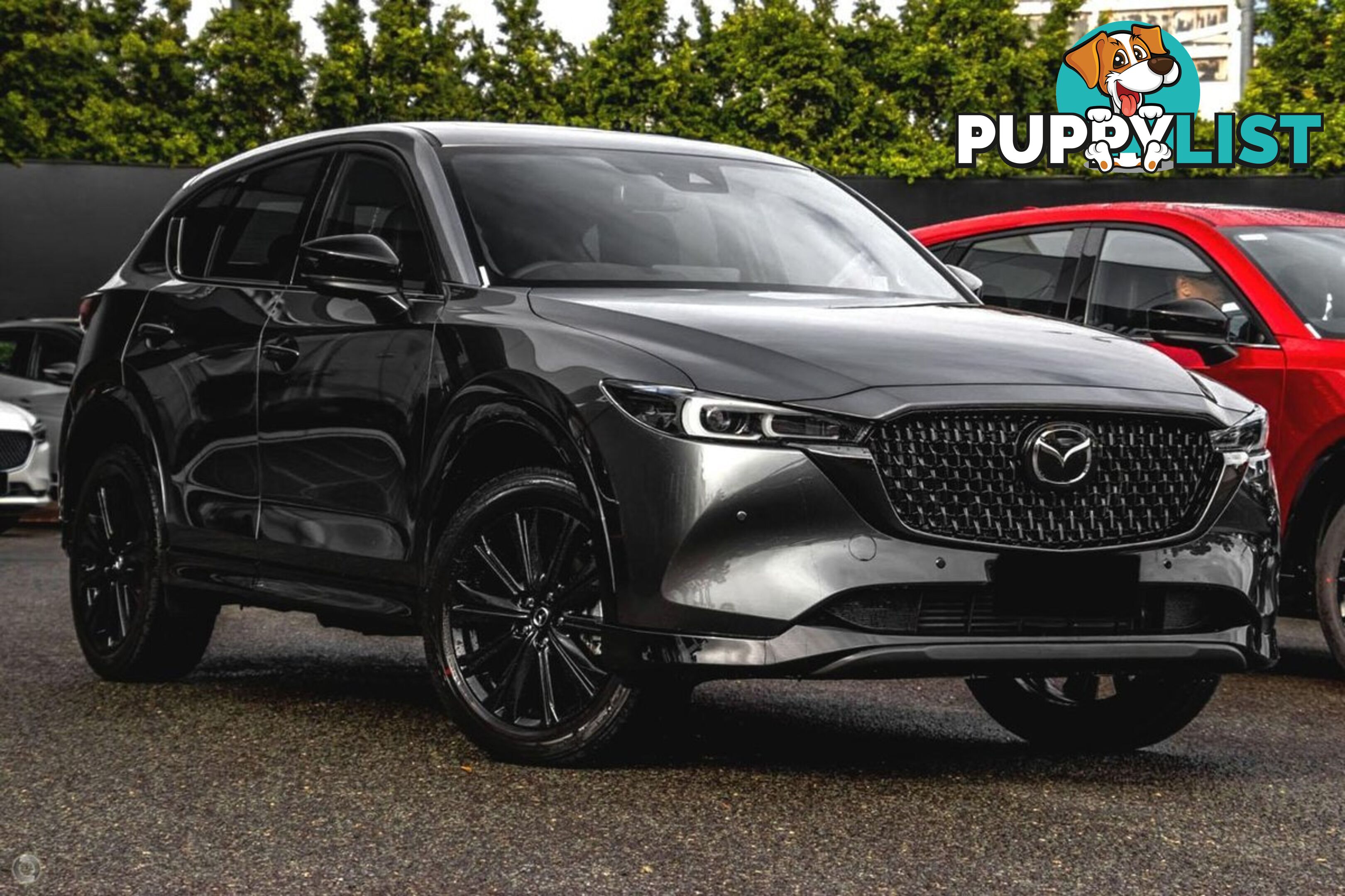 2024 MAZDA CX-5 G35-GT-SP KF-SERIES-AWD SUV