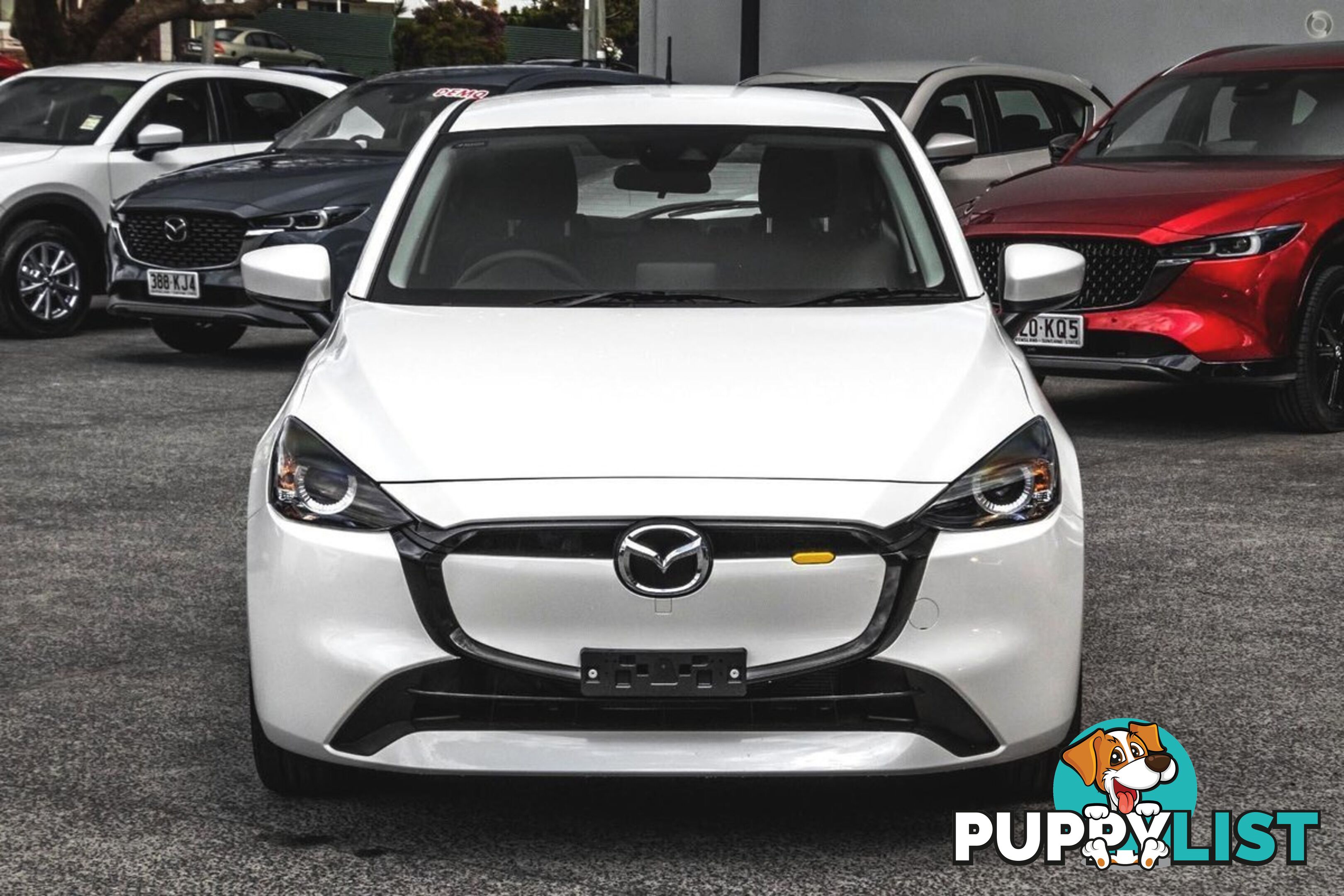 2024 MAZDA 2 G15-PURE DJ-SERIES HATCHBACK