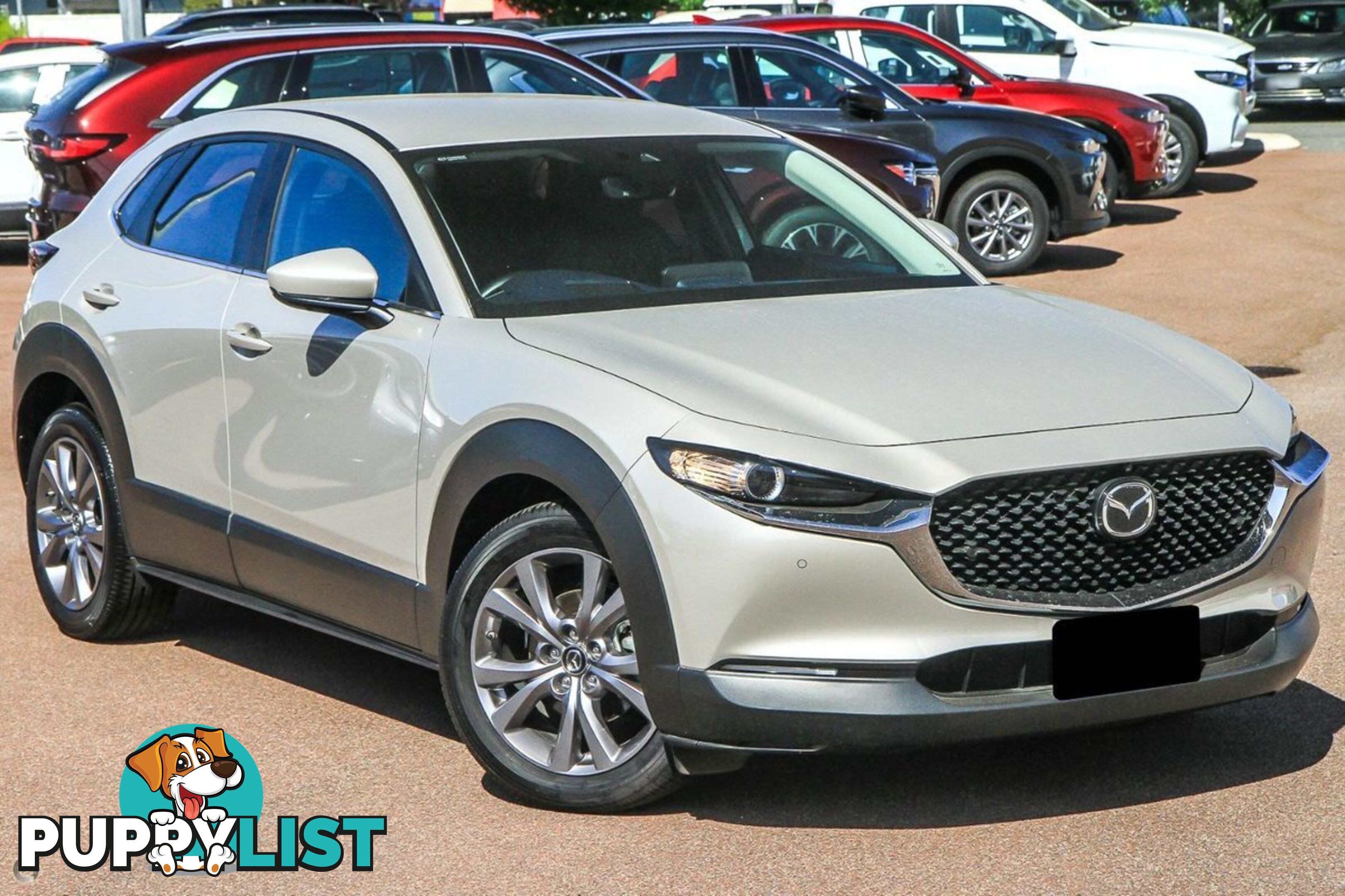 2024 MAZDA CX-30 G20-EVOLVE DM-SERIES SUV