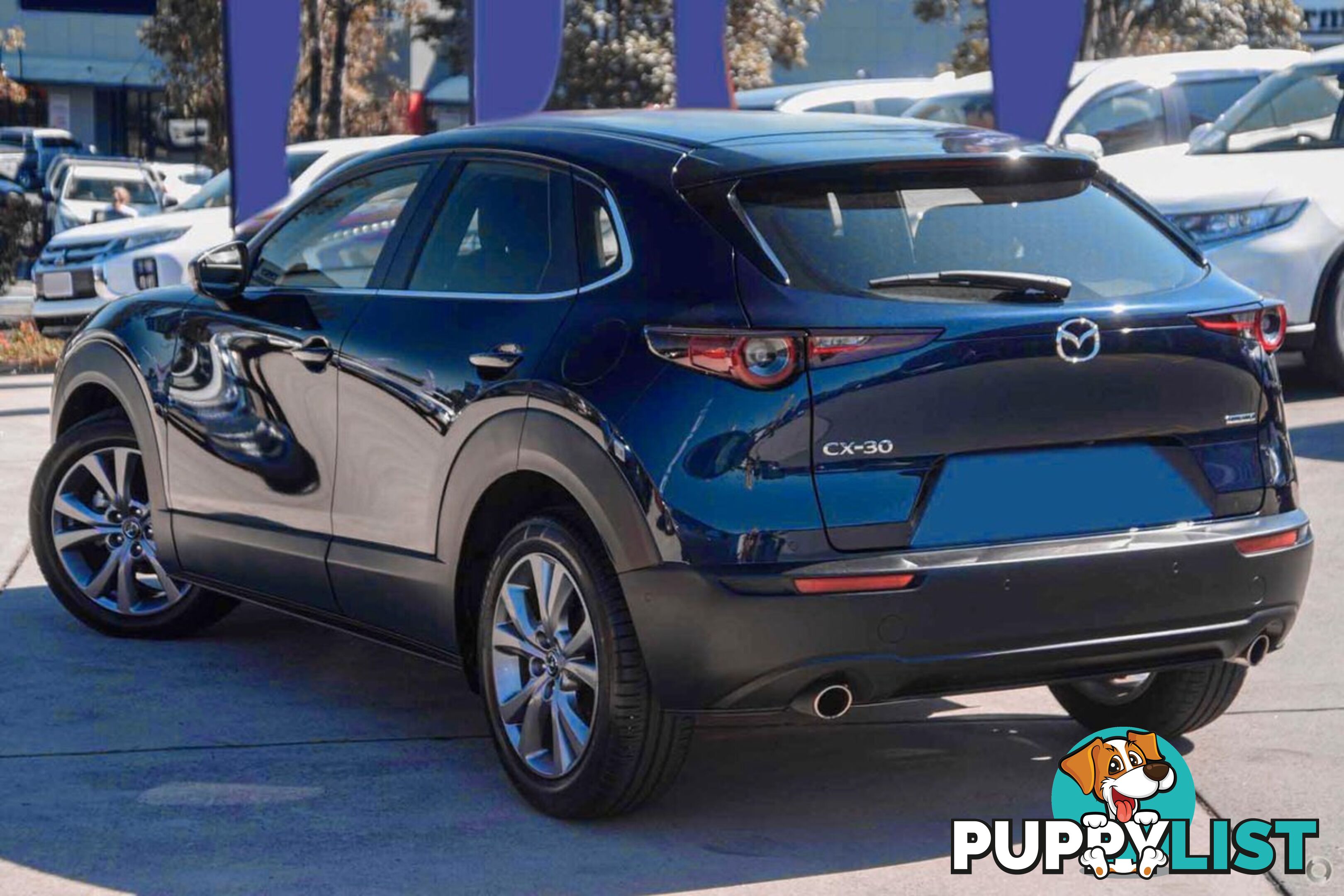 2024 MAZDA CX-30 G20-EVOLVE DM-SERIES SUV