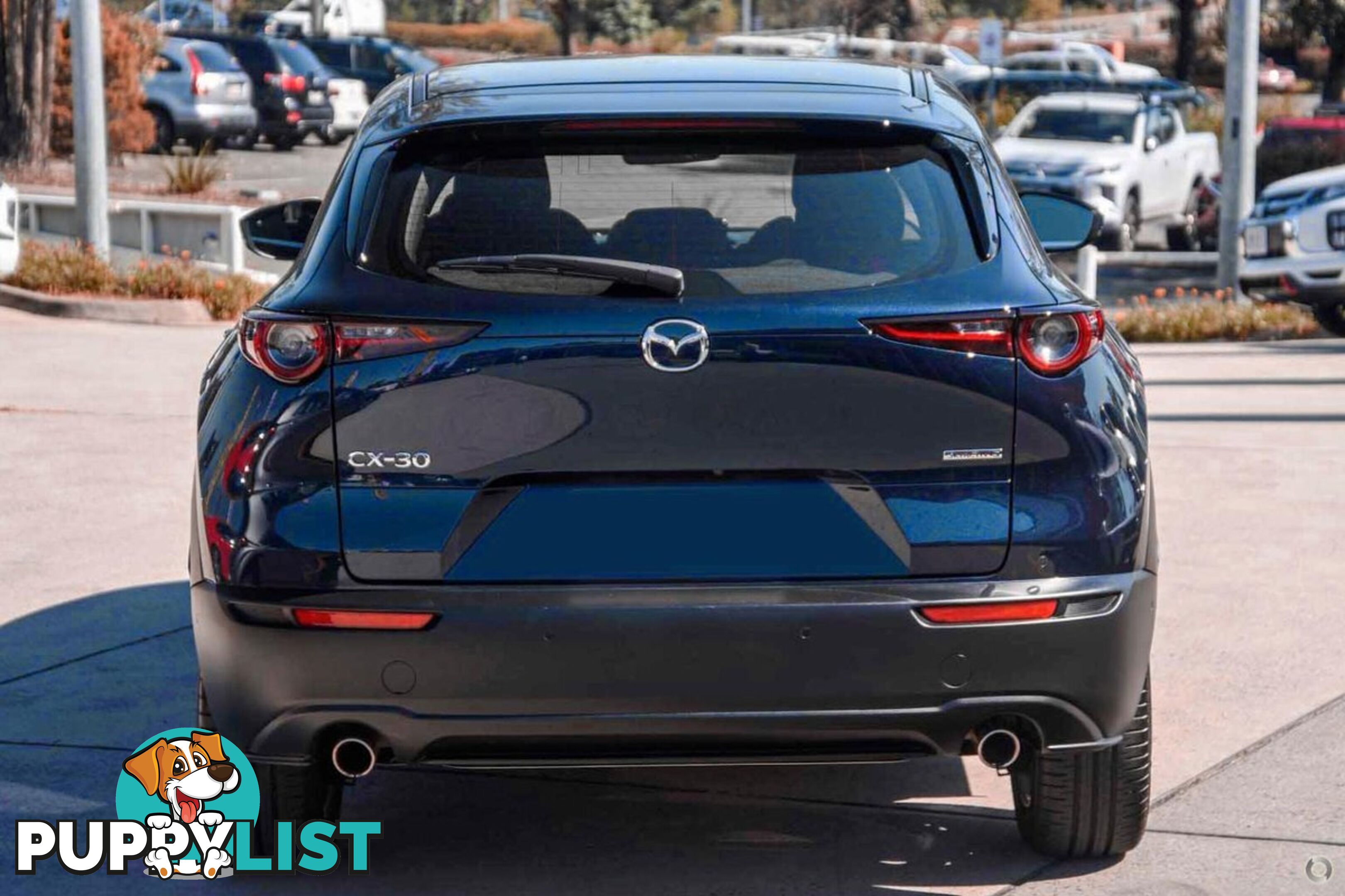 2024 MAZDA CX-30 G20-EVOLVE DM-SERIES SUV