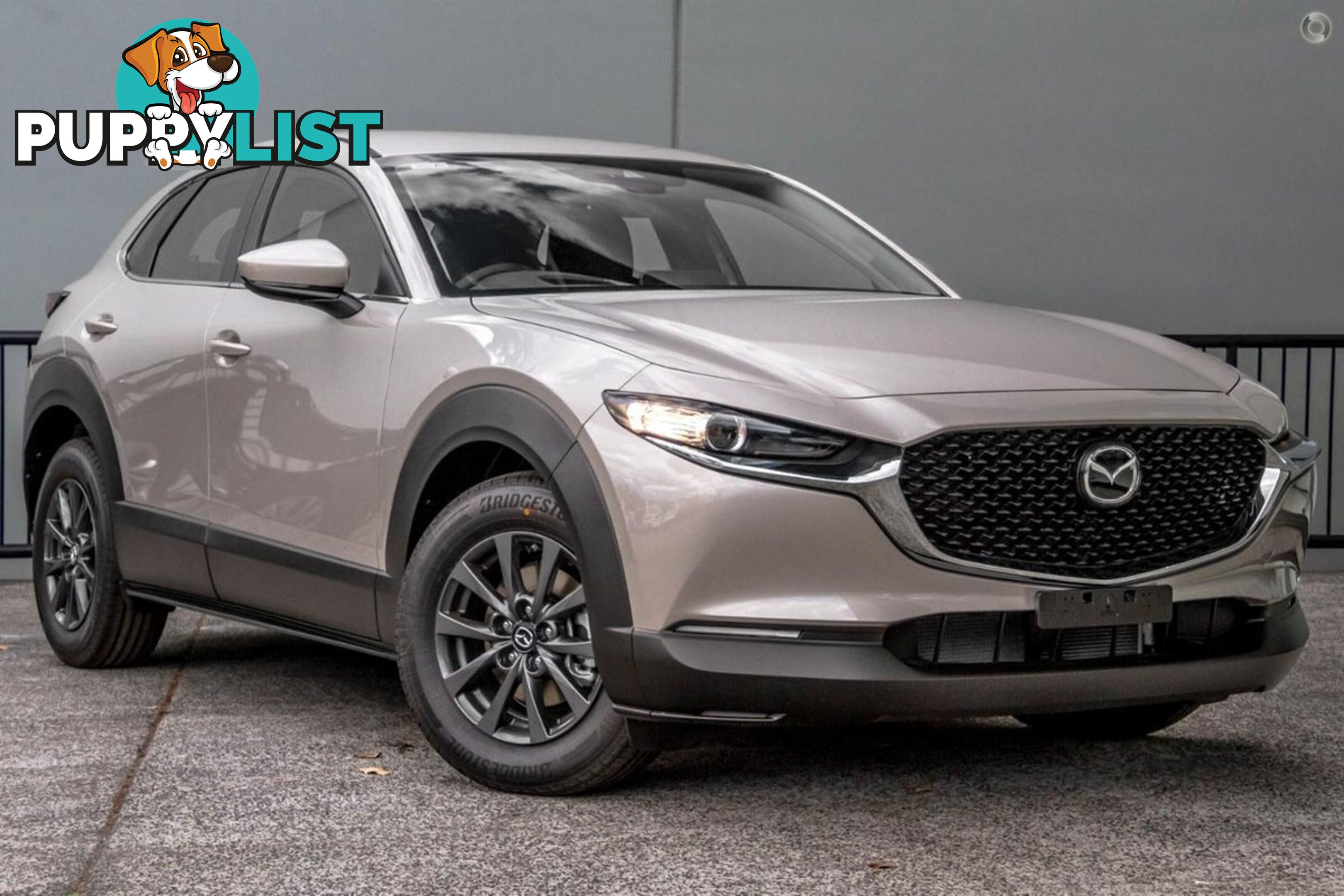 2025 MAZDA CX-30 G20-PURE DM-SERIES SUV
