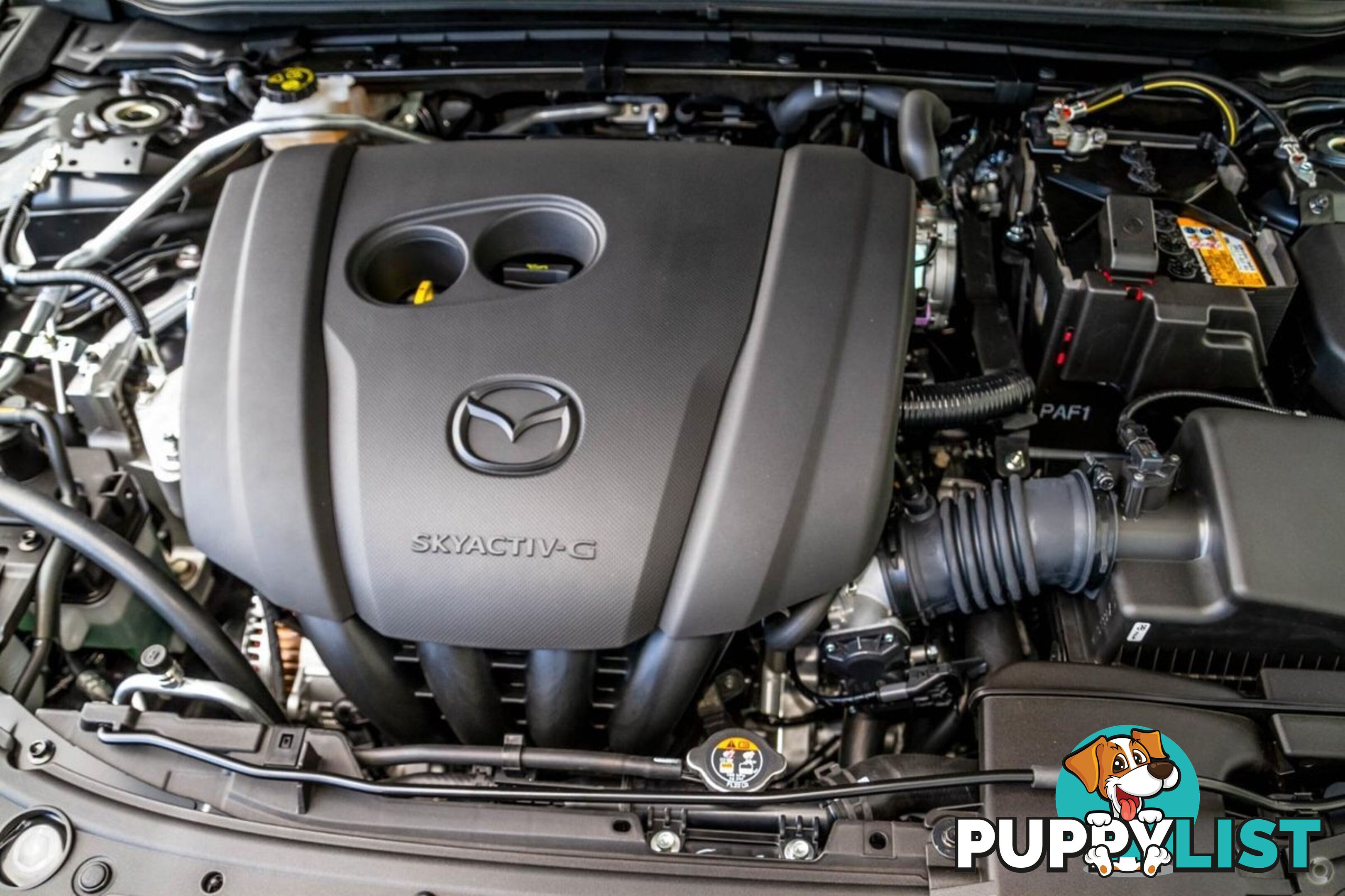2024 MAZDA 3 G25-EVOLVE-SP BP-SERIES HATCHBACK