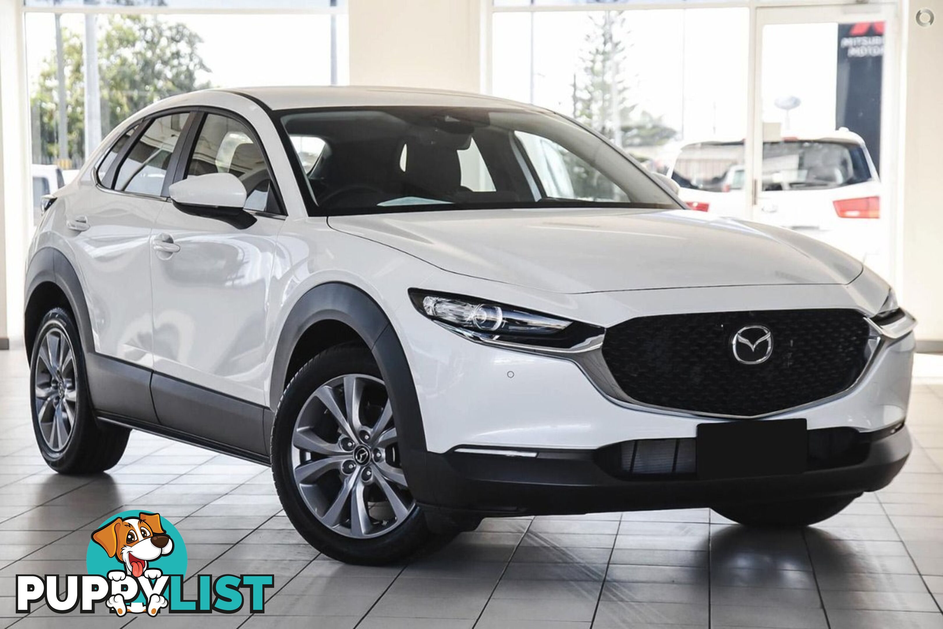 2025 MAZDA CX-30 G20-EVOLVE DM-SERIES SUV