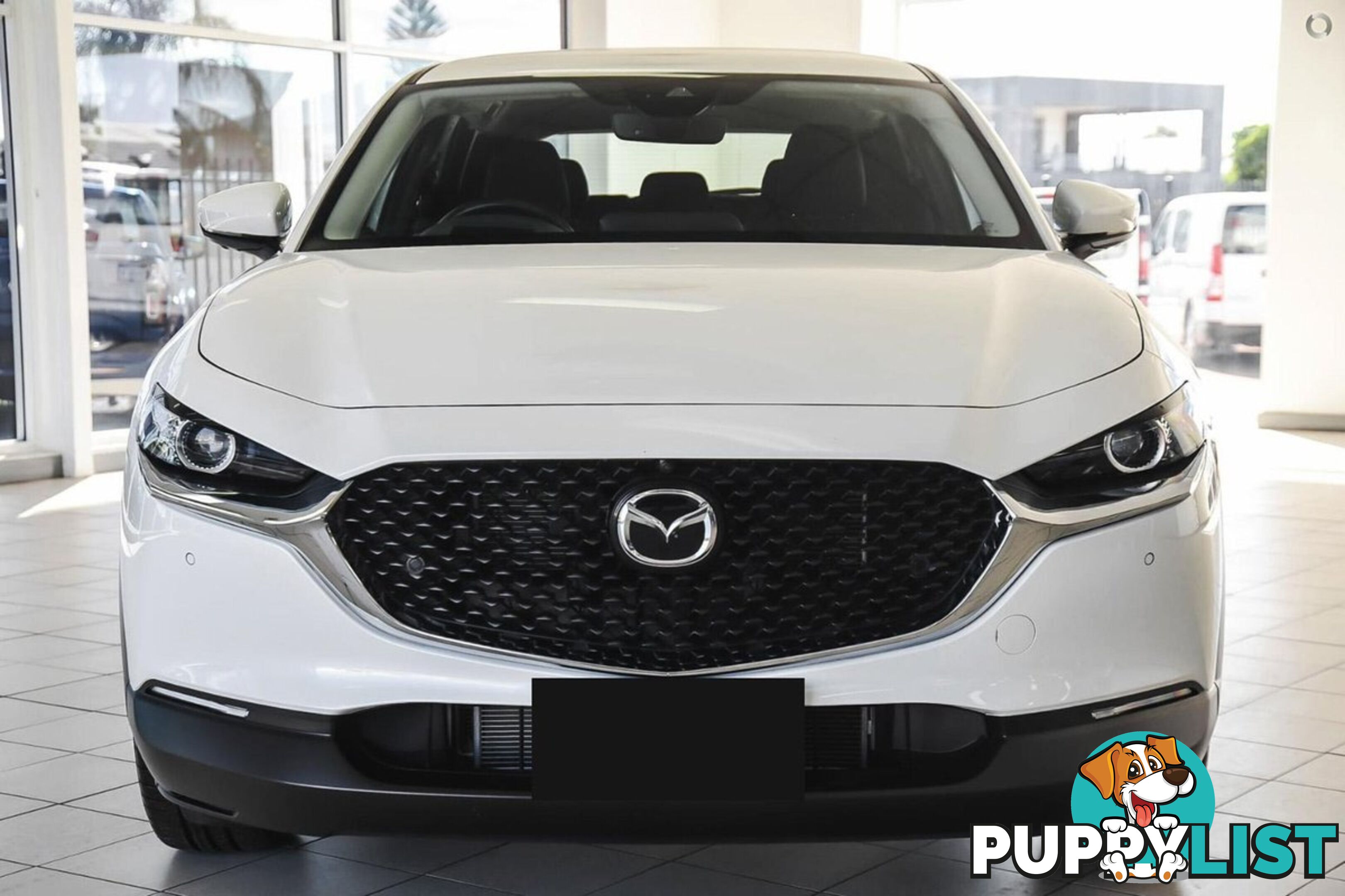 2025 MAZDA CX-30 G20-EVOLVE DM-SERIES SUV