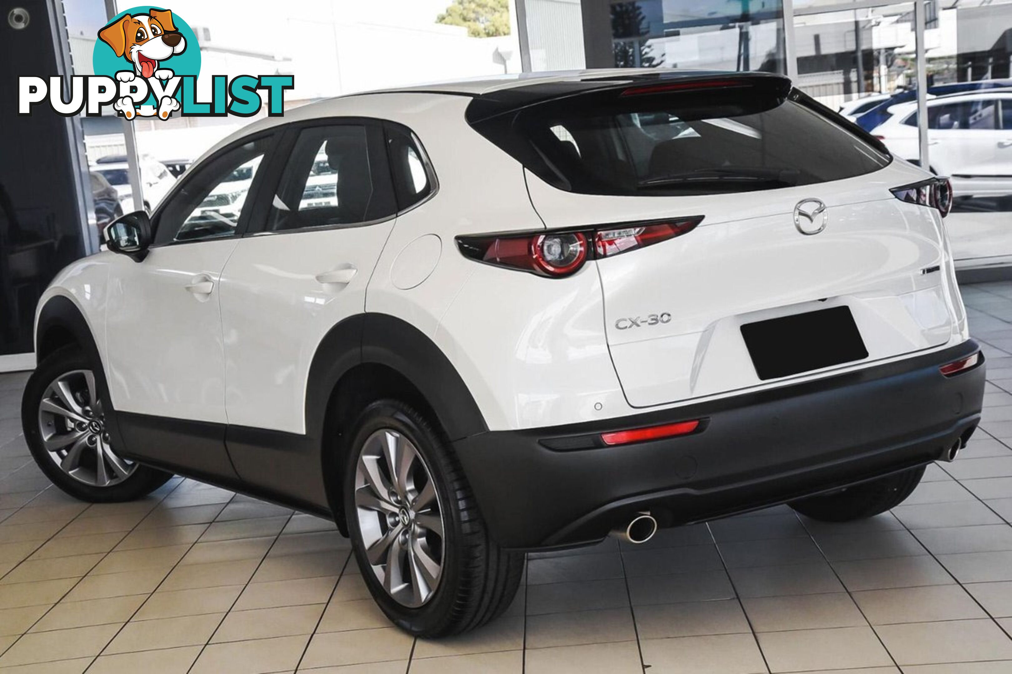 2025 MAZDA CX-30 G20-EVOLVE DM-SERIES SUV