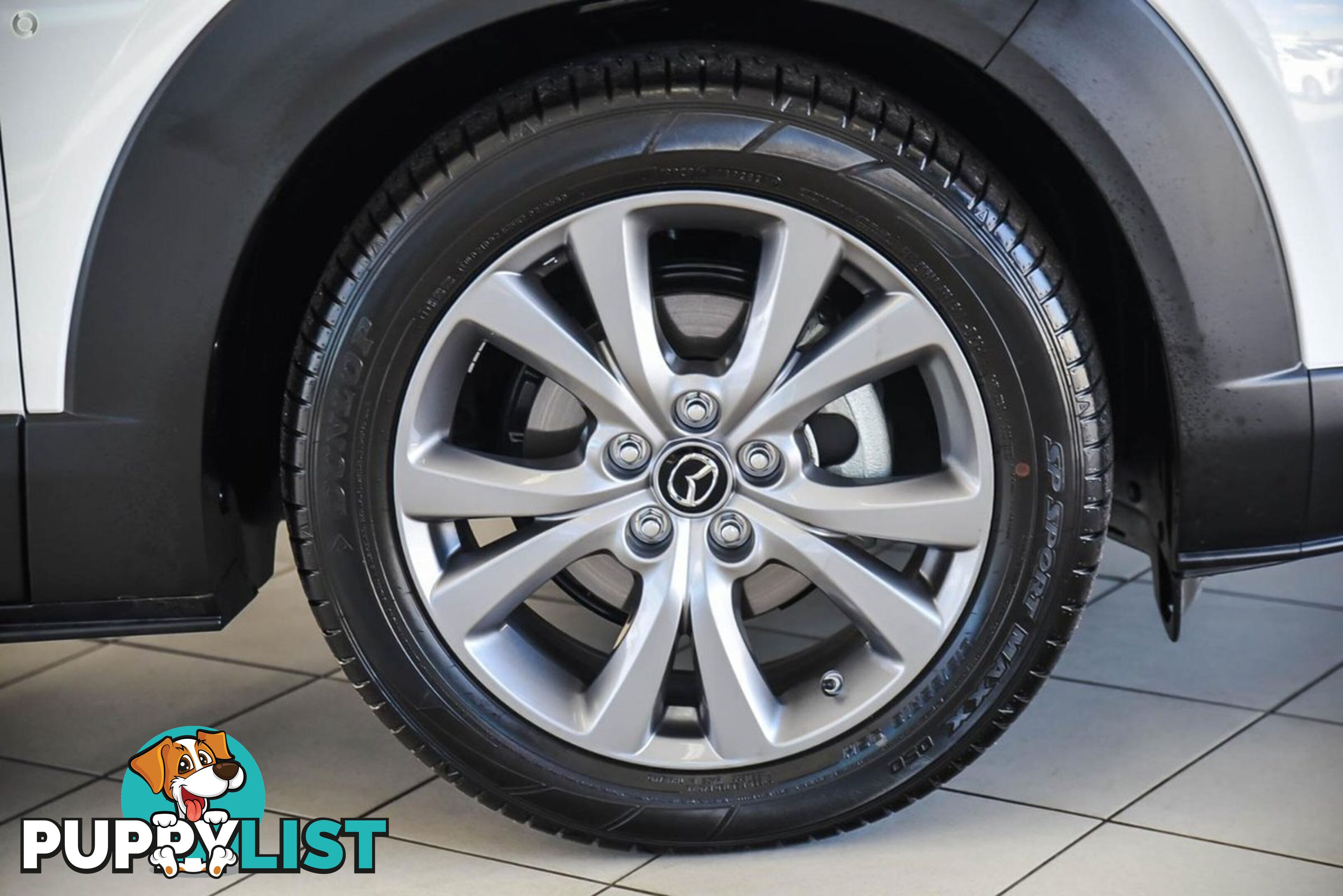 2025 MAZDA CX-30 G20-EVOLVE DM-SERIES SUV