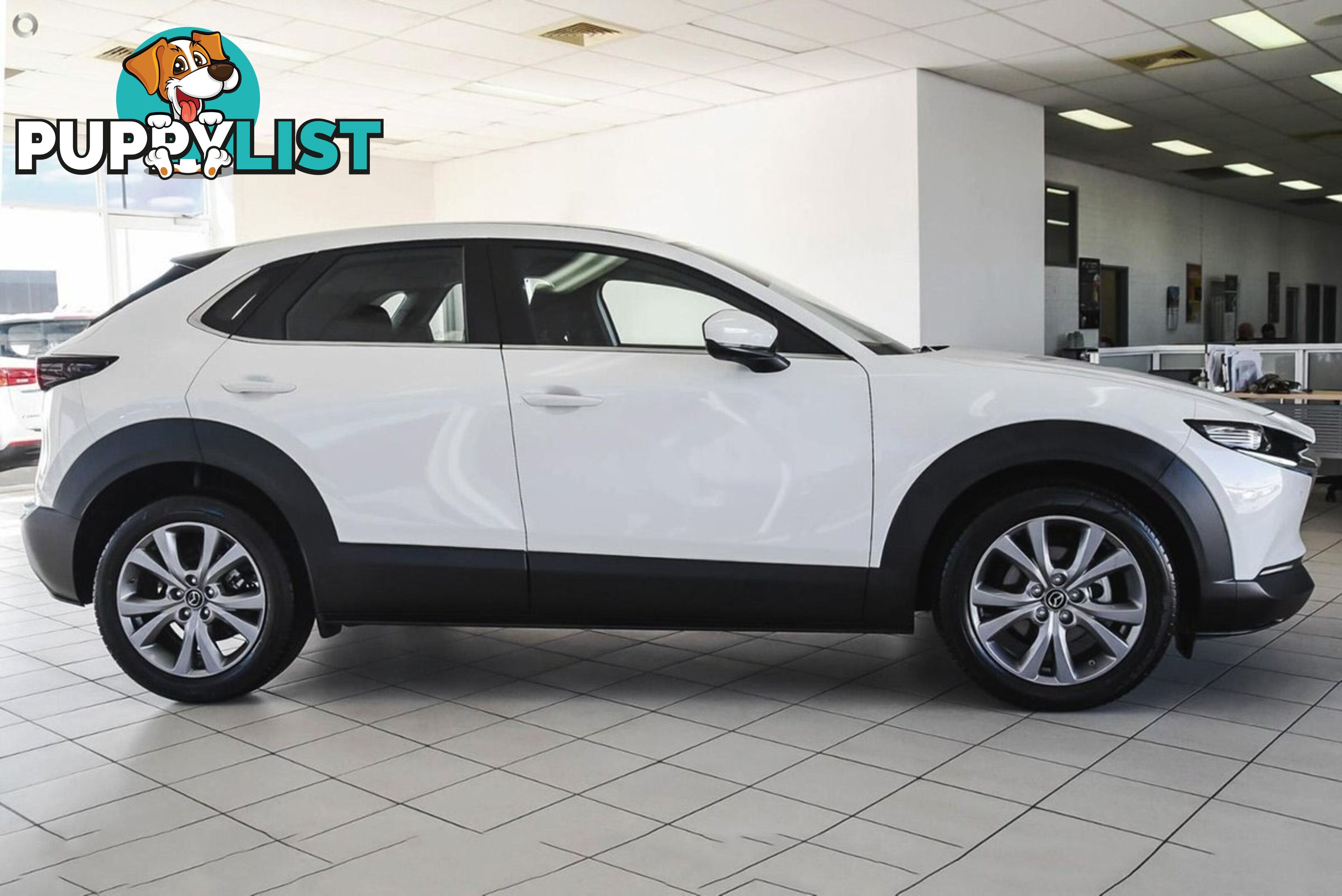 2025 MAZDA CX-30 G20-EVOLVE DM-SERIES SUV