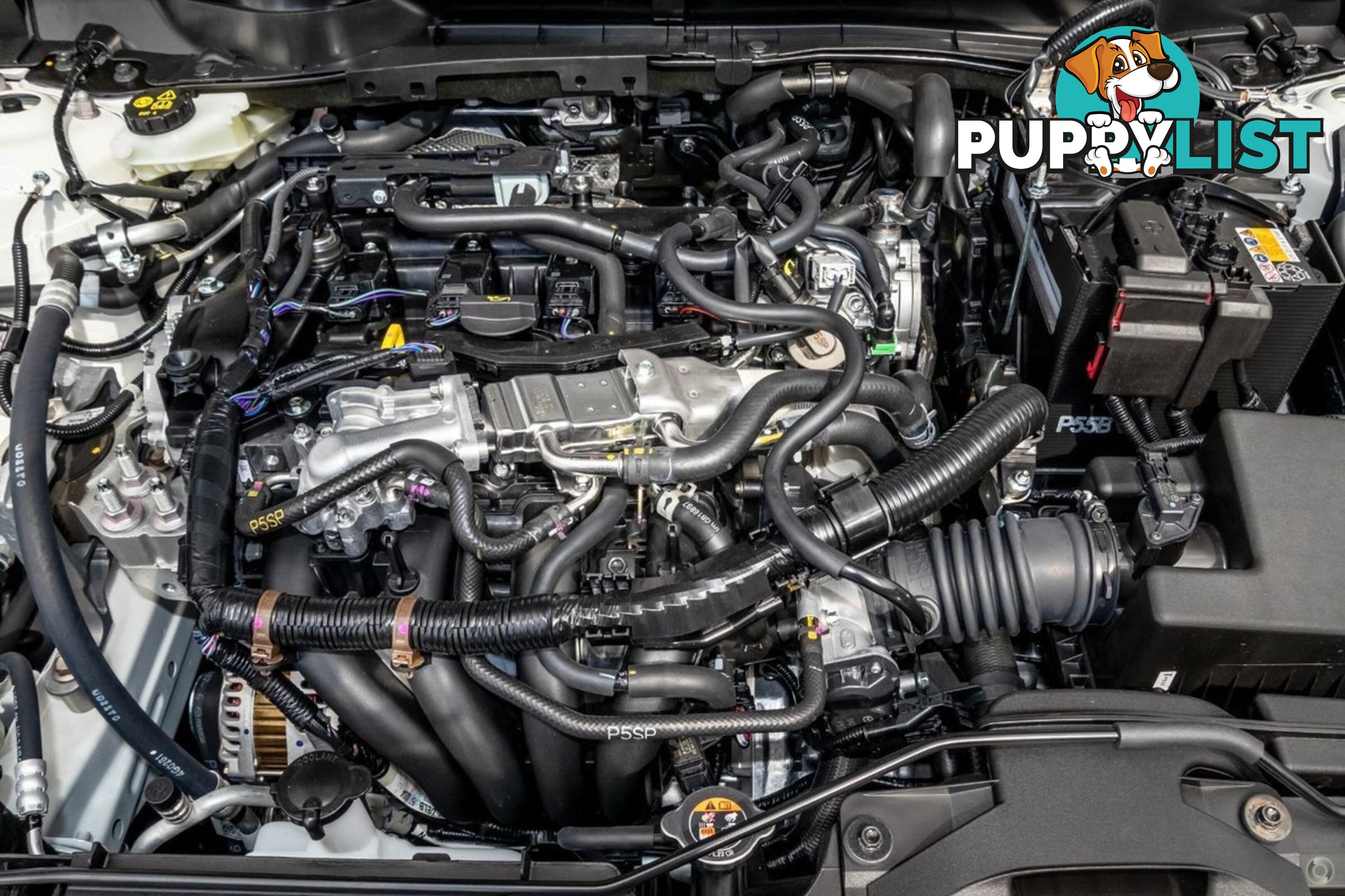 2024 MAZDA 2 G15-PURE DJ-SERIES HATCHBACK