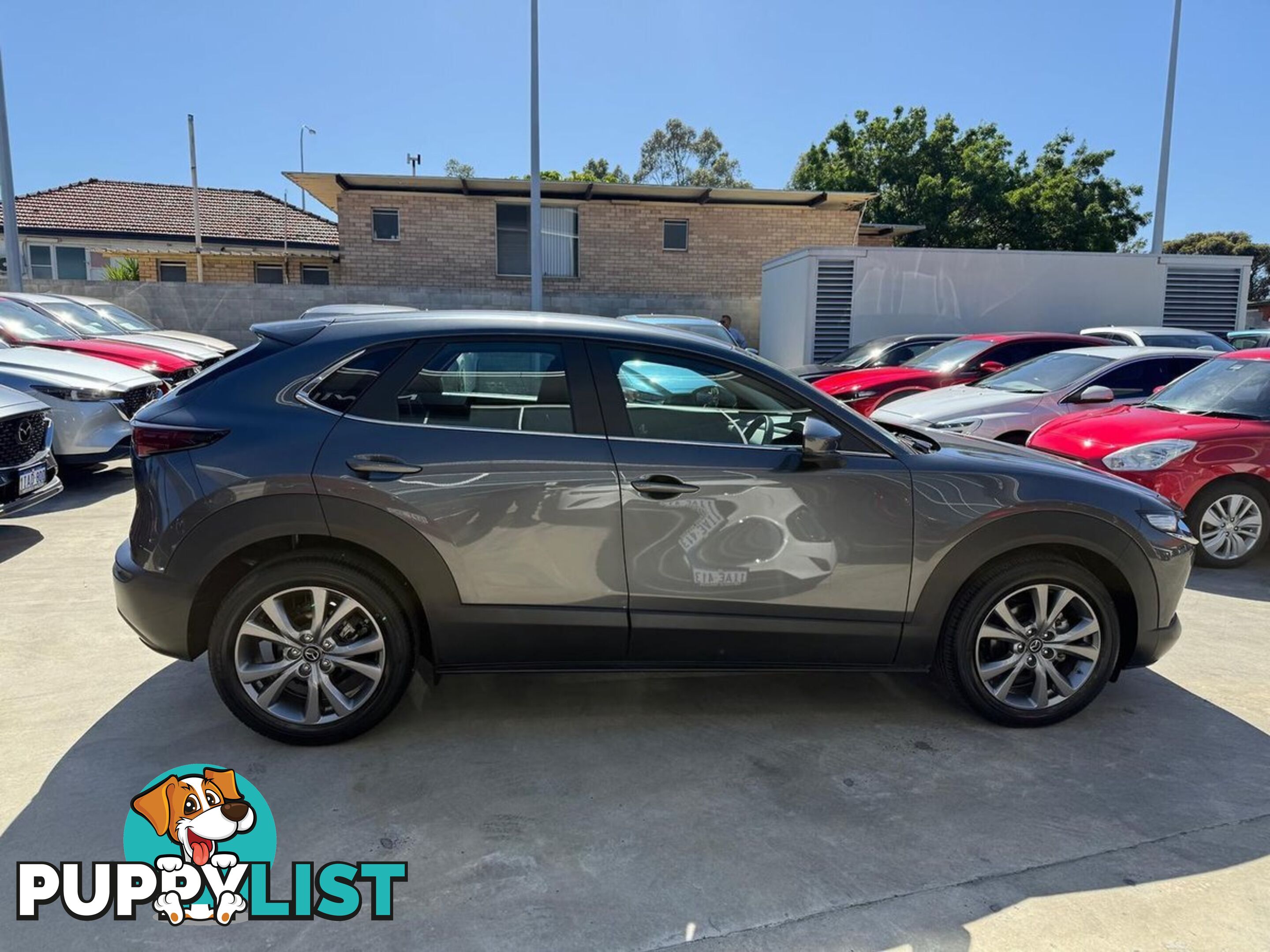 2024 MAZDA CX-30 G20-EVOLVE DM-SERIES SUV