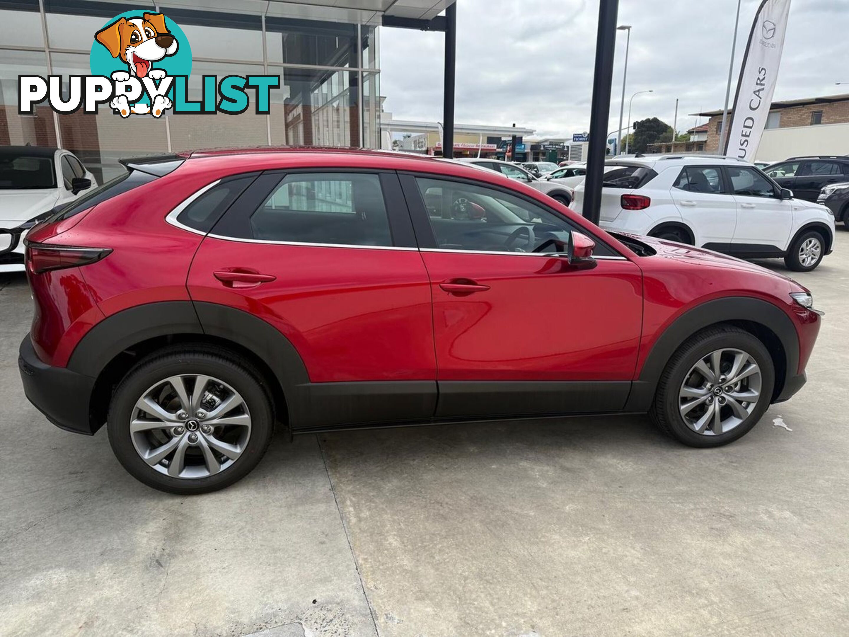 2024 MAZDA CX-30 G20-EVOLVE DM-SERIES SUV