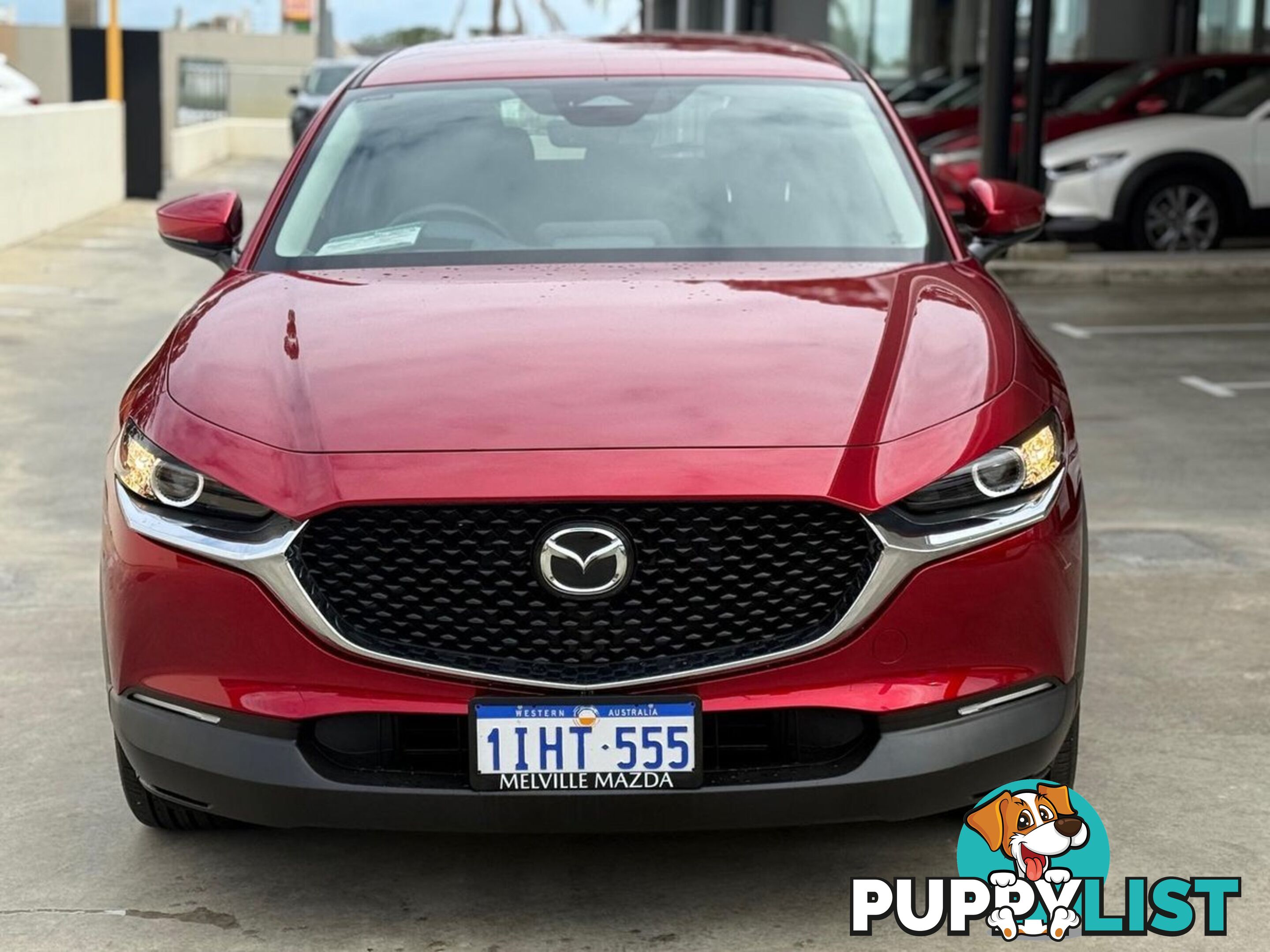 2024 MAZDA CX-30 G20-EVOLVE DM-SERIES SUV