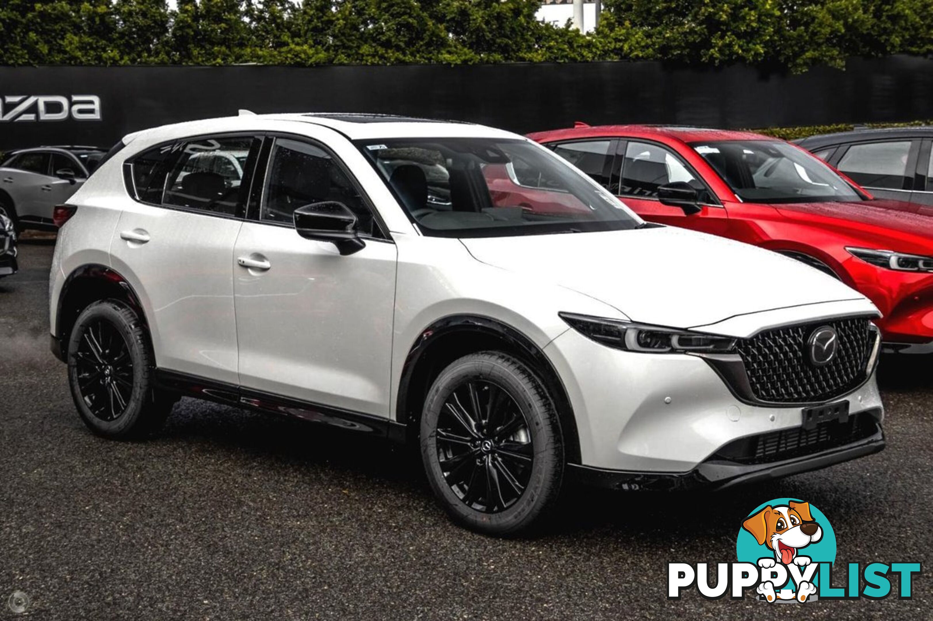 2025 MAZDA CX-5 G35-GT-SP KF-SERIES-AWD SUV