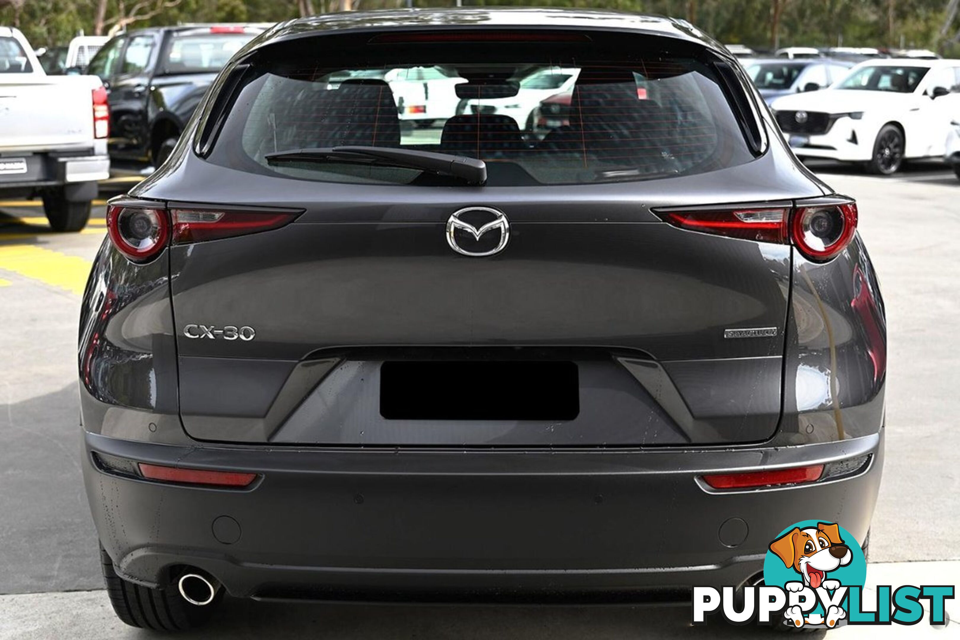 2025 MAZDA CX-30 G20-PURE DM-SERIES SUV
