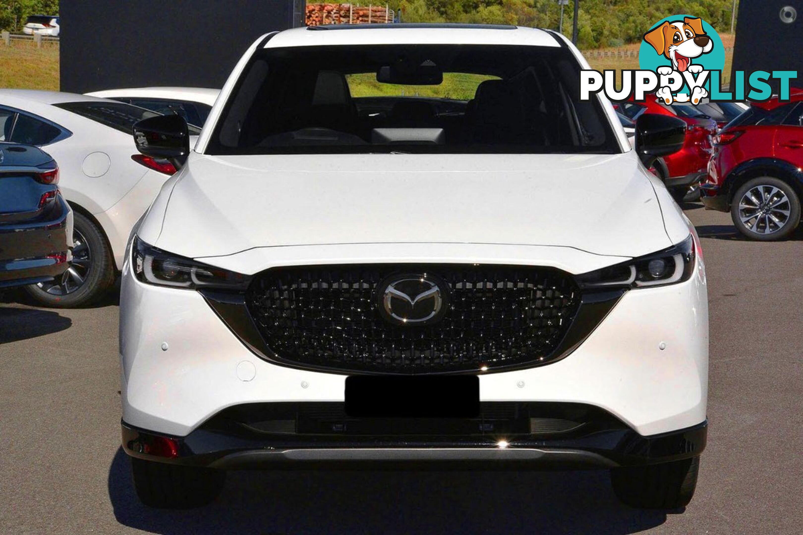 2025 MAZDA CX-5 G25-GT-SP KF-SERIES-AWD SUV