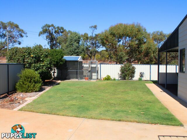 77 Cowan Road YORK WA 6302