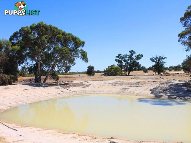 847 Hillcroft Road (Jelcobine) BROOKTON WA 6306