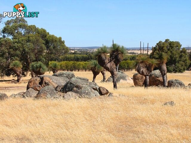 847 Hillcroft Road (Jelcobine) BROOKTON WA 6306