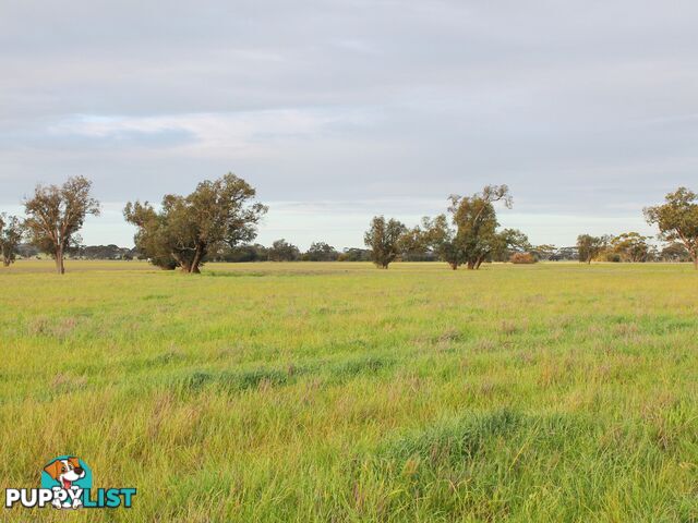 Lot 3 Yenyenning Lakes Road (Kokeby) BEVERLEY WA 6304