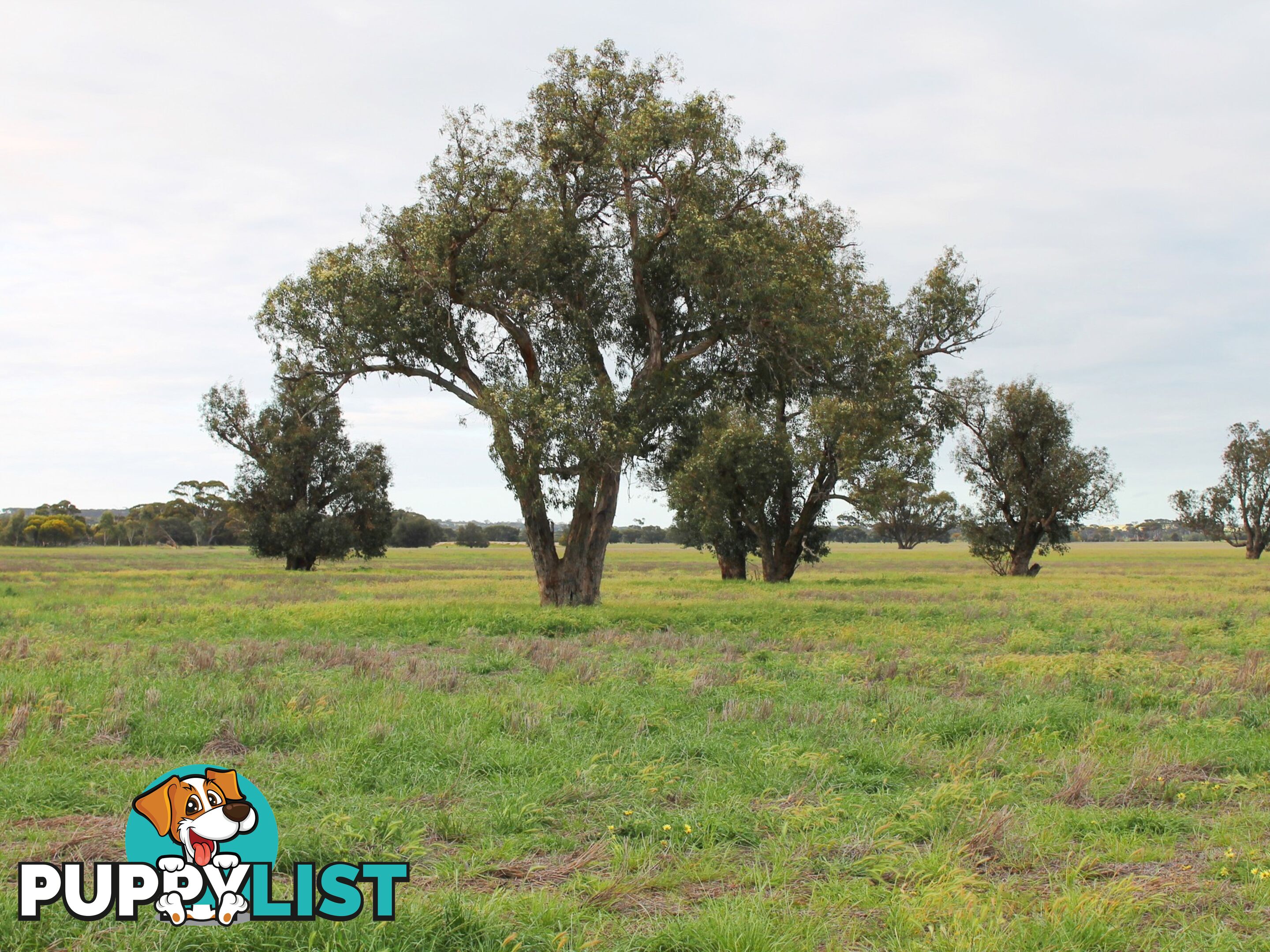 Lot 3 Yenyenning Lakes Road (Kokeby) BEVERLEY WA 6304